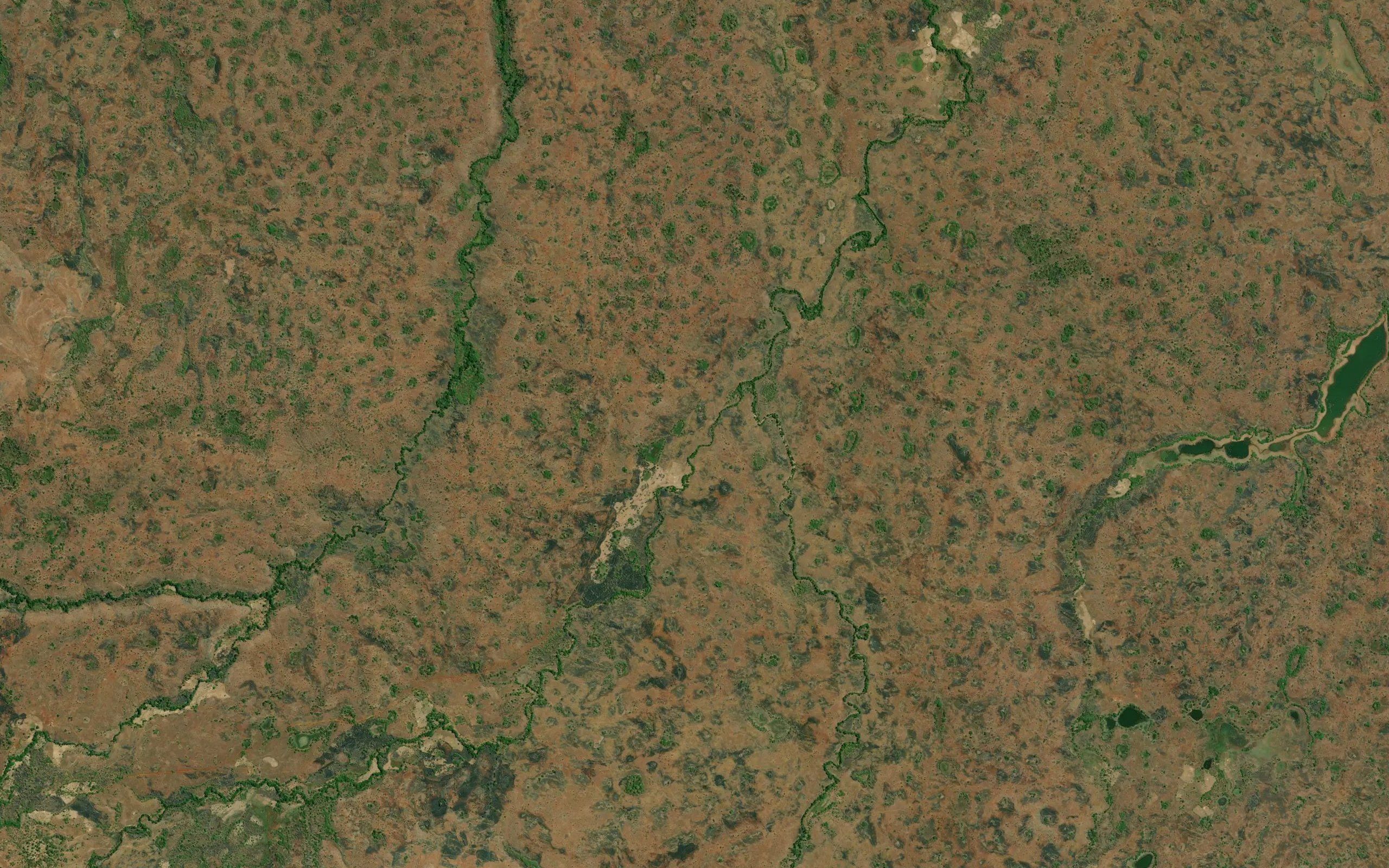 Beankana