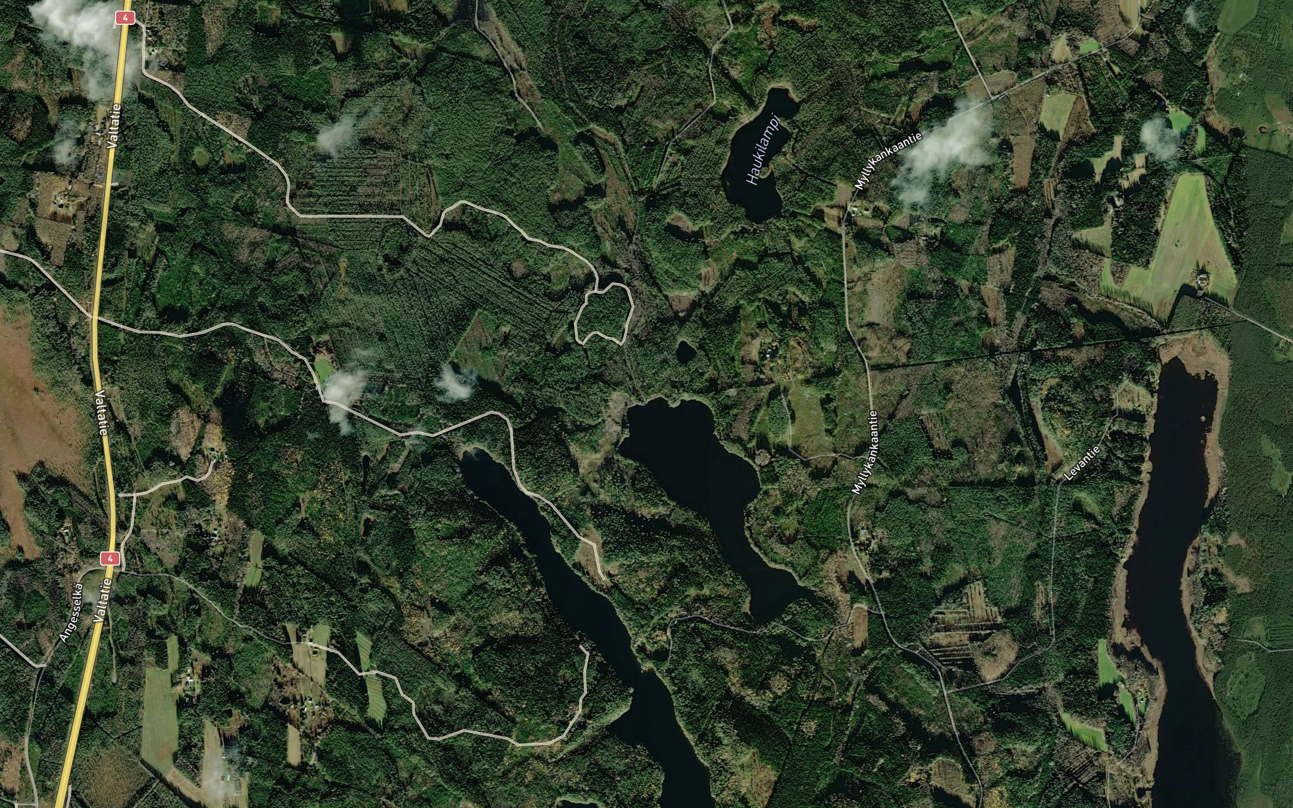 Harjunjoki