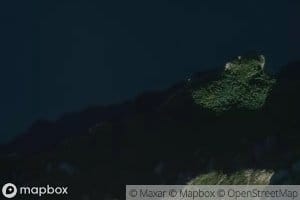 Ytste Bardvika