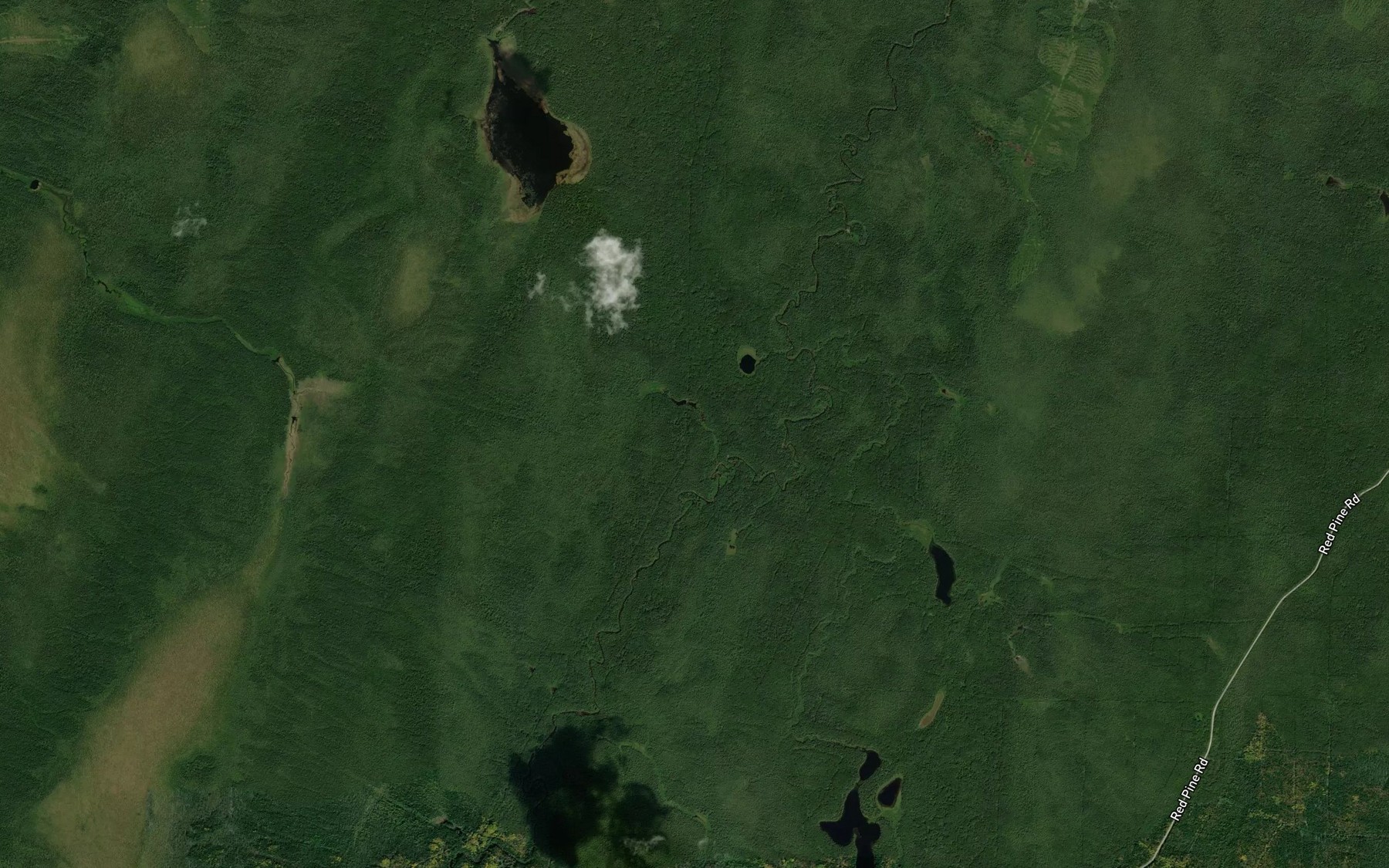 Satellite map of the Laidlaw Creek