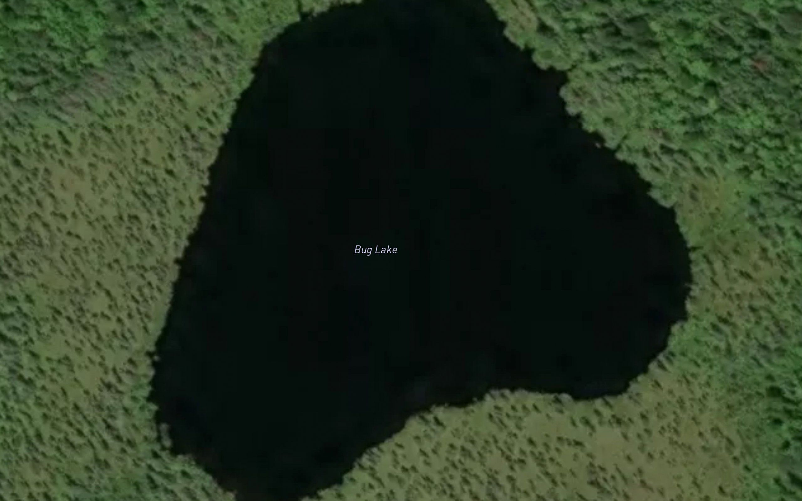 Bug Lake