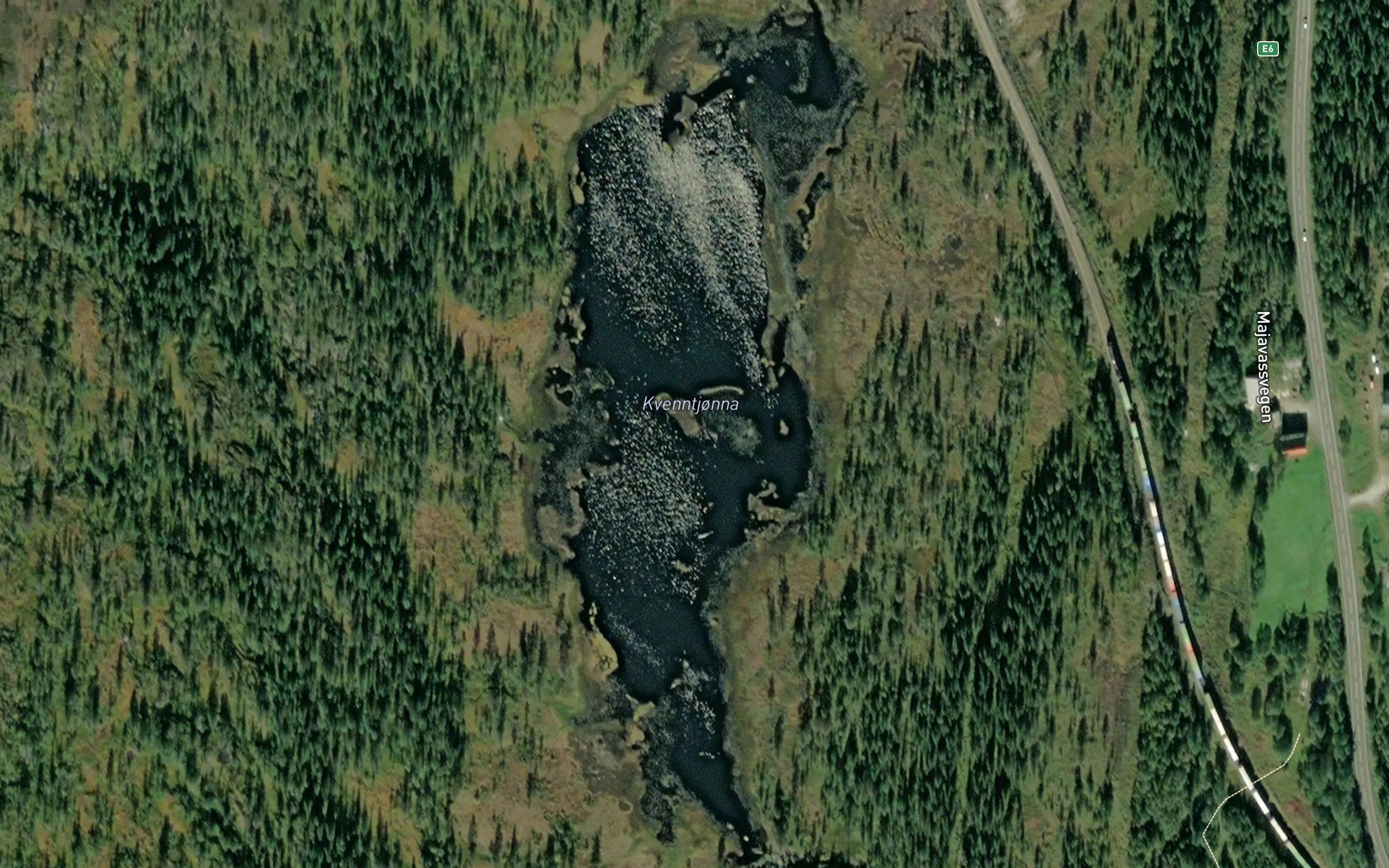 Kverntjorna