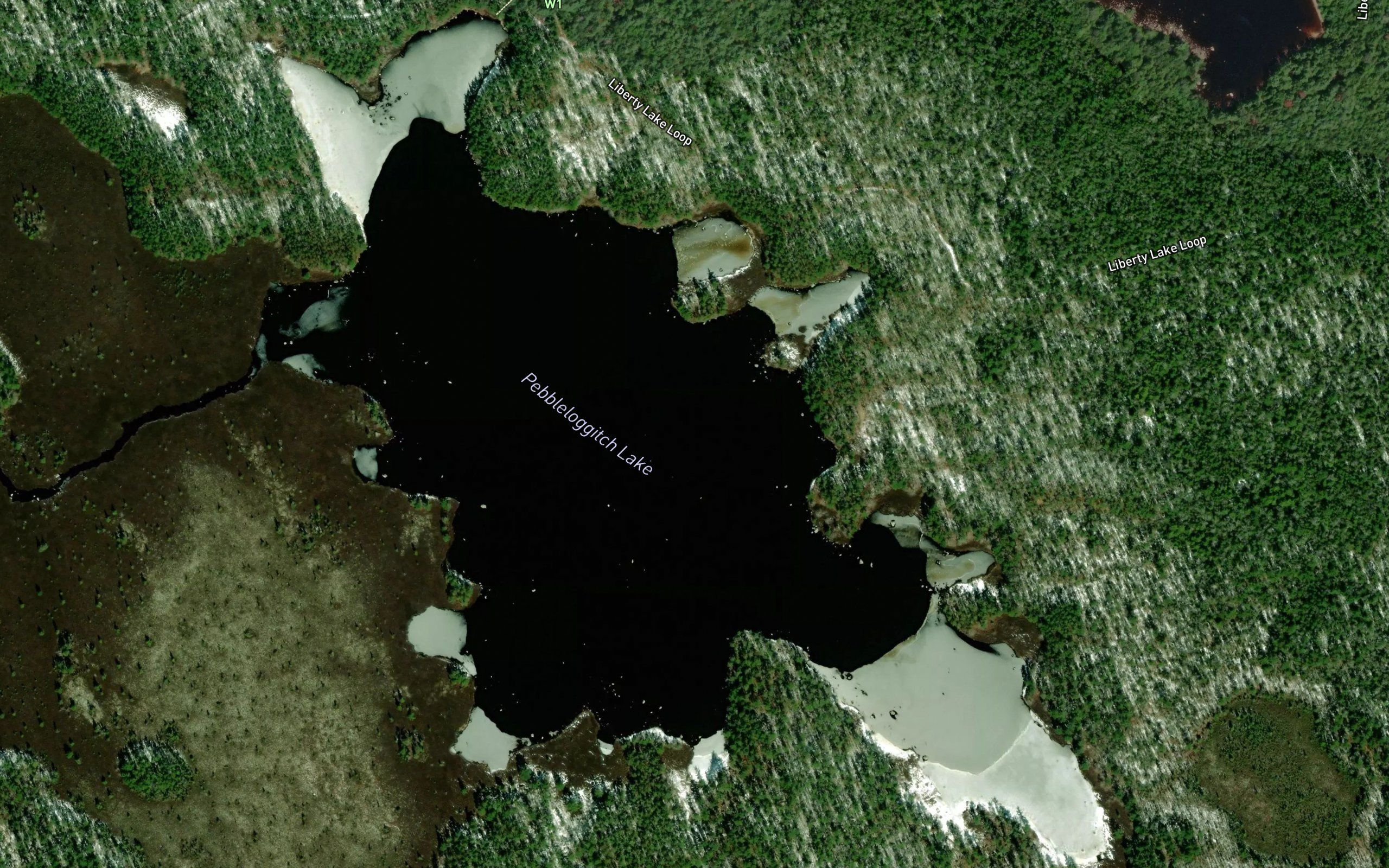 Pebbleloggitch Lake