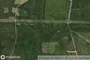 Sheffield Mill Creek