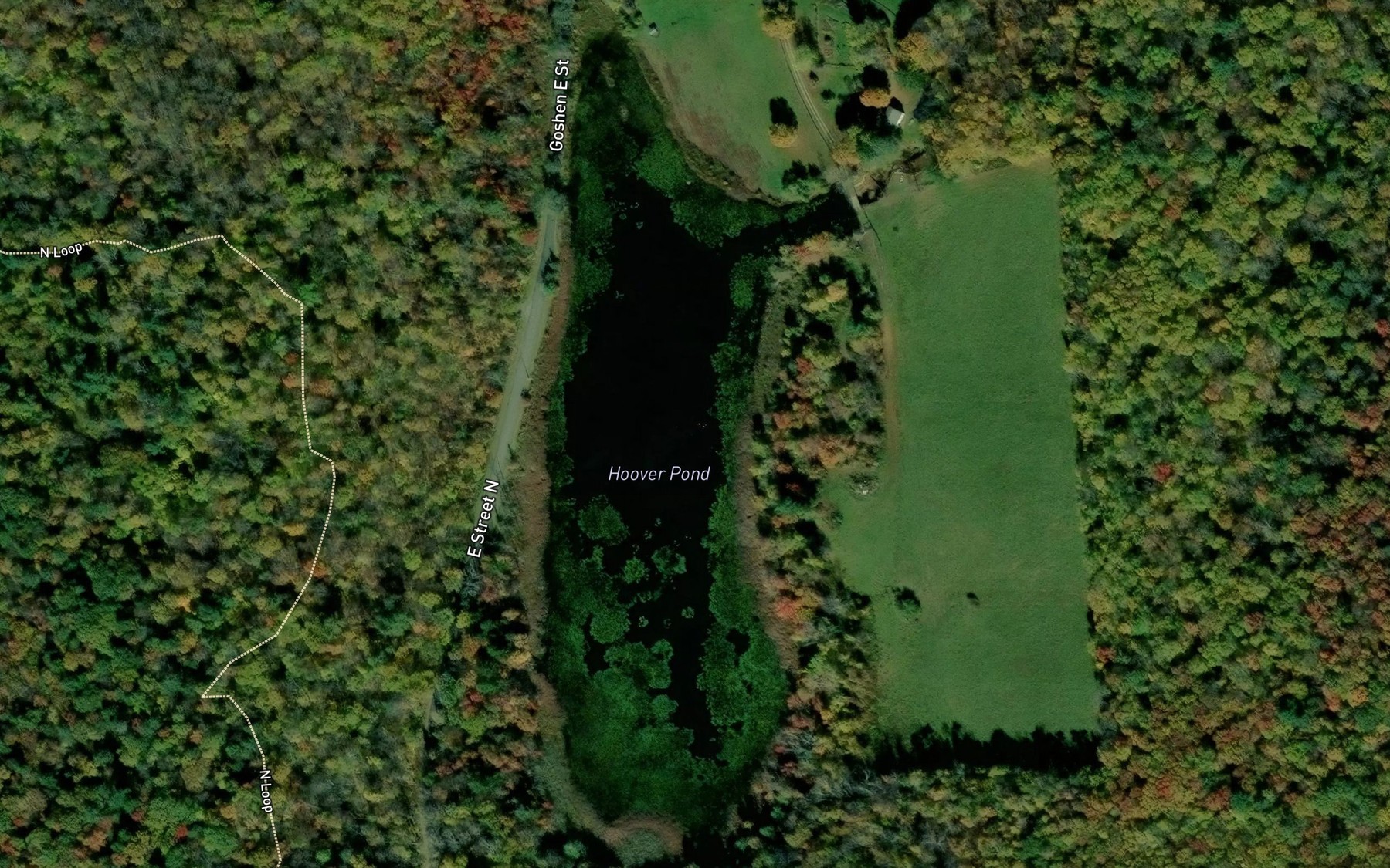 Satellite map of the Hoover Pond