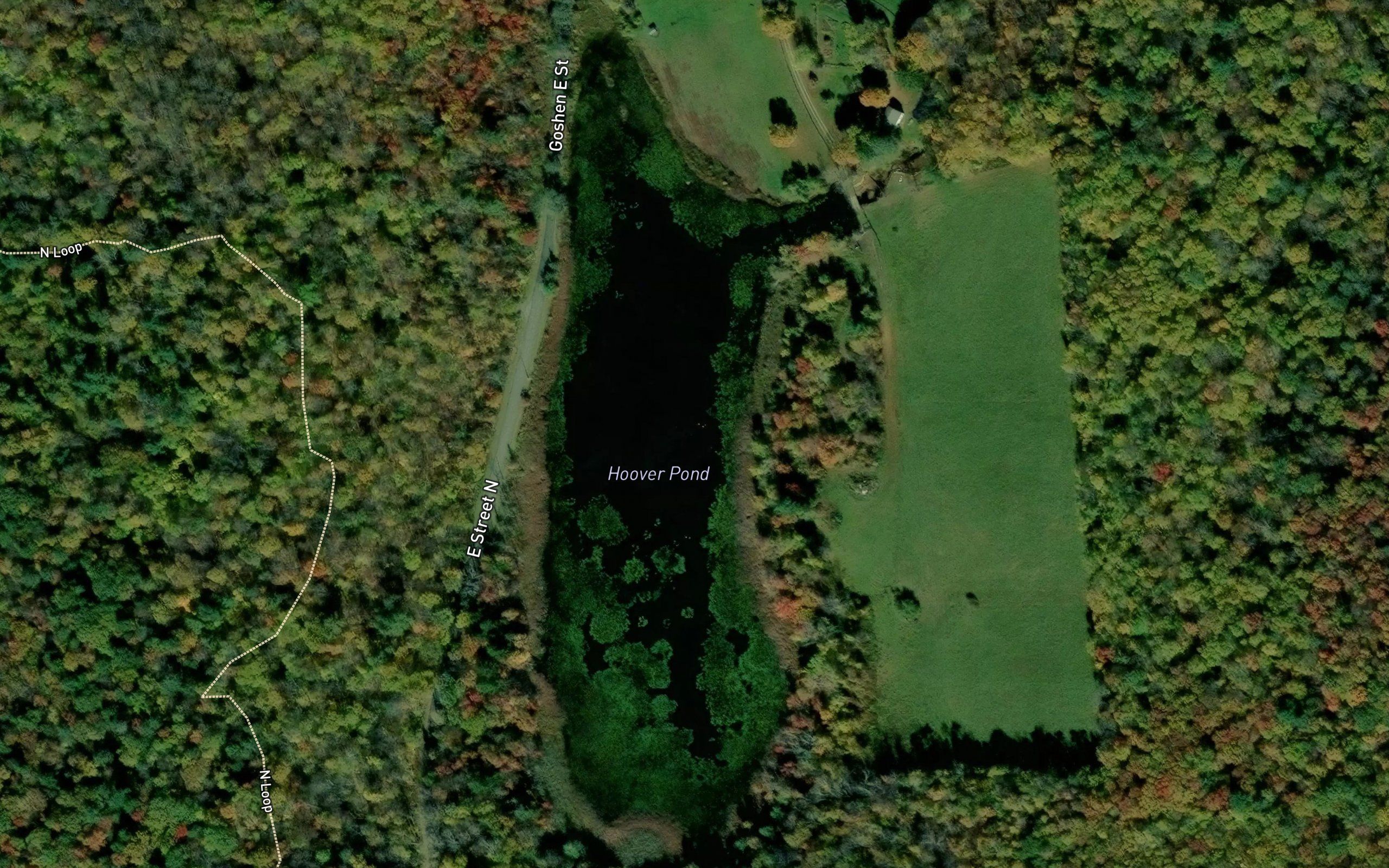Hoover Pond