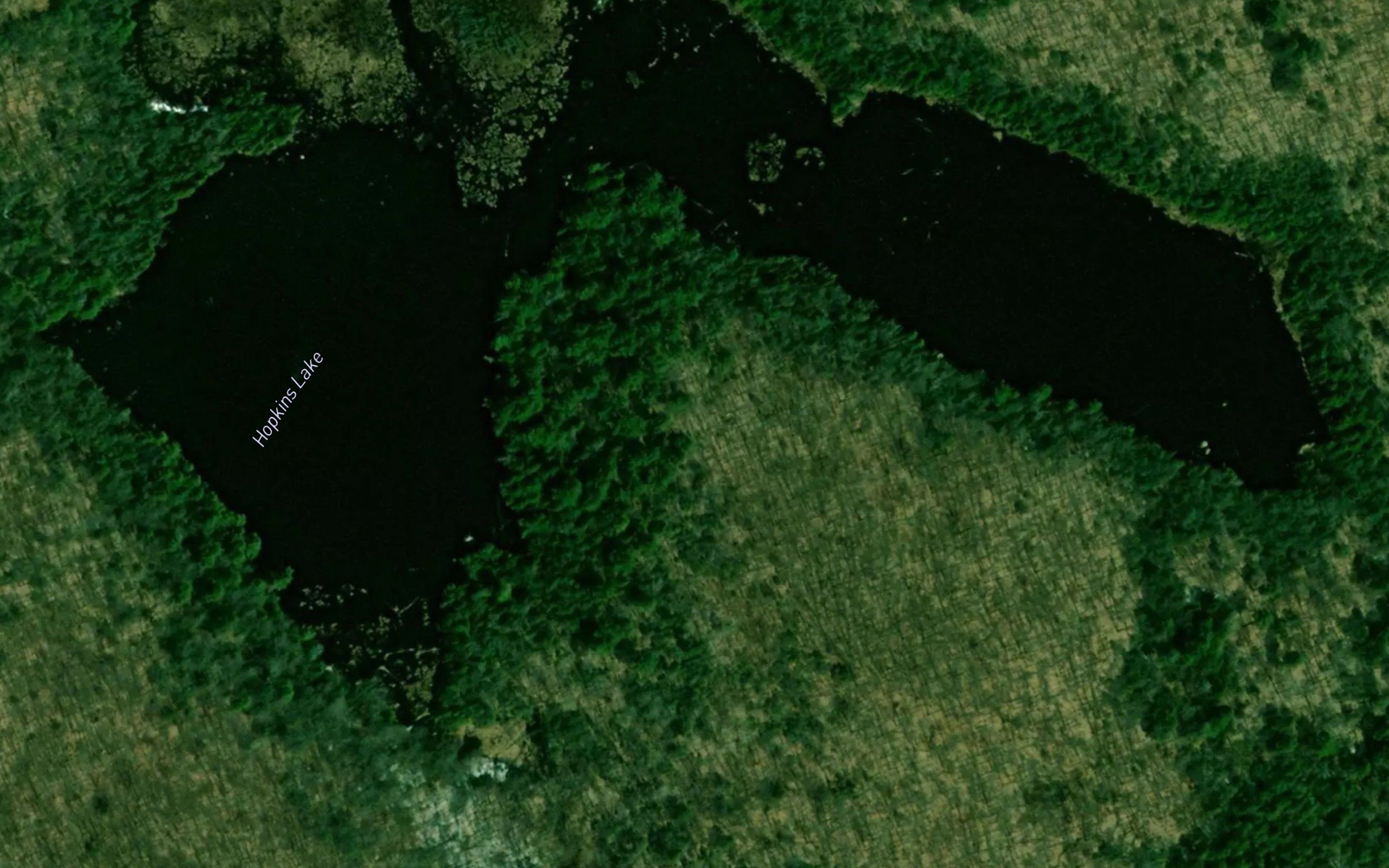 Hopkins Lake