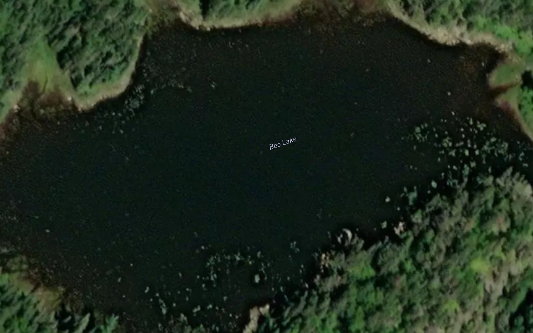 Satellite map of the Beo Lake