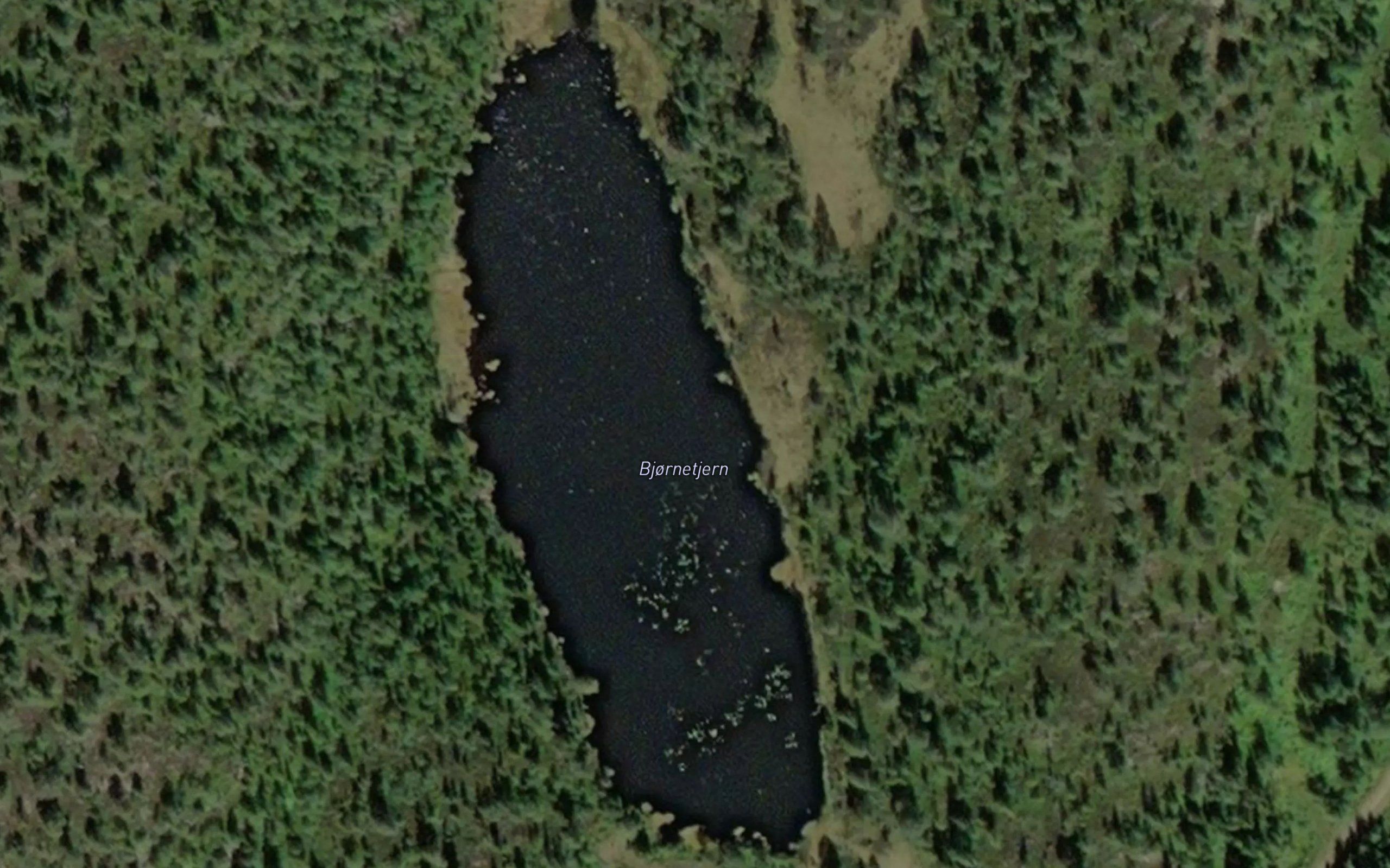 Brornetjern