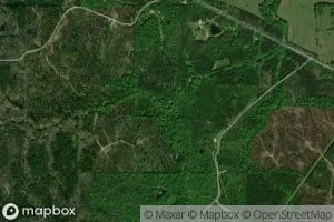 Falling Spring Branch