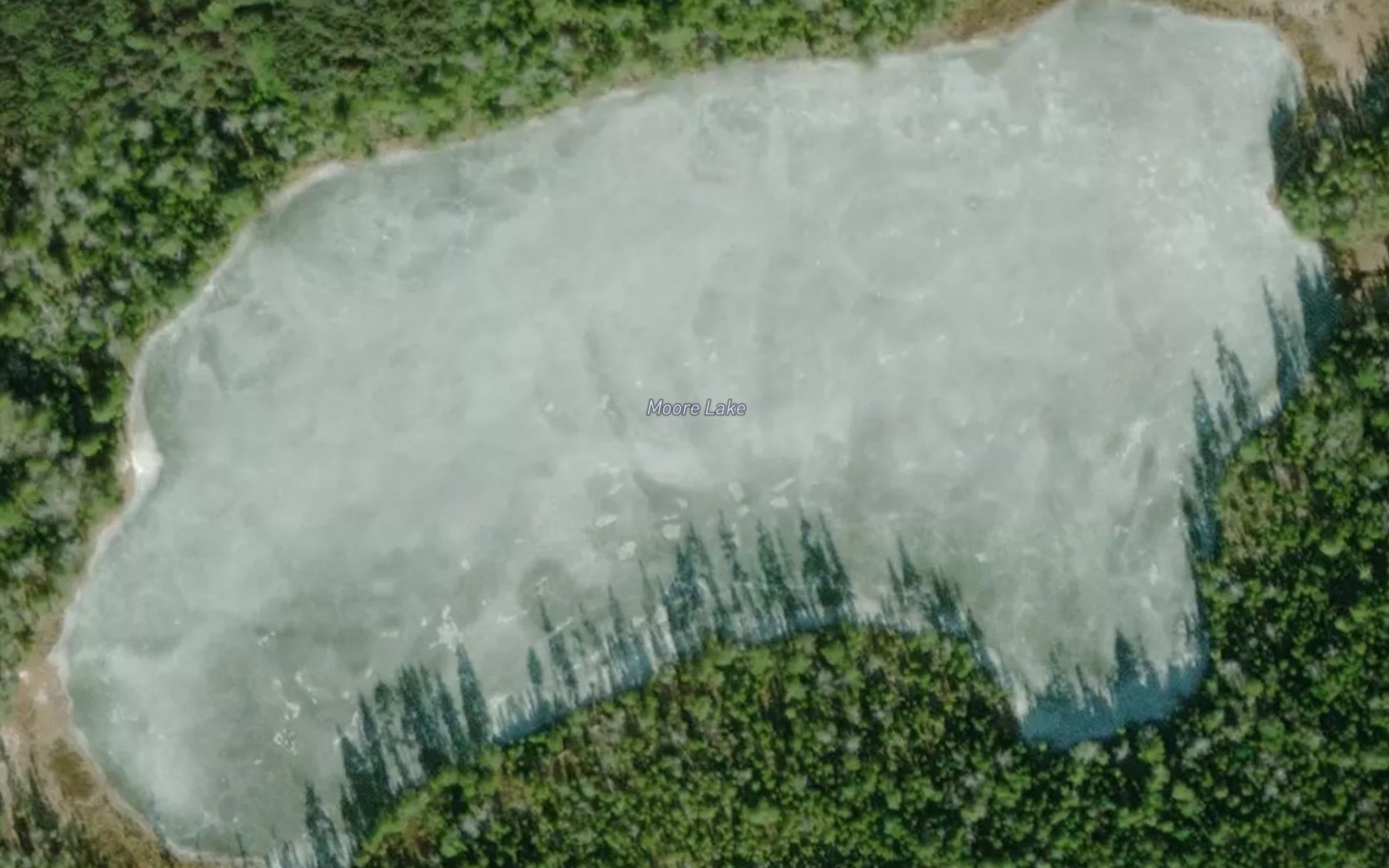 Satellite map of the Moore Lake