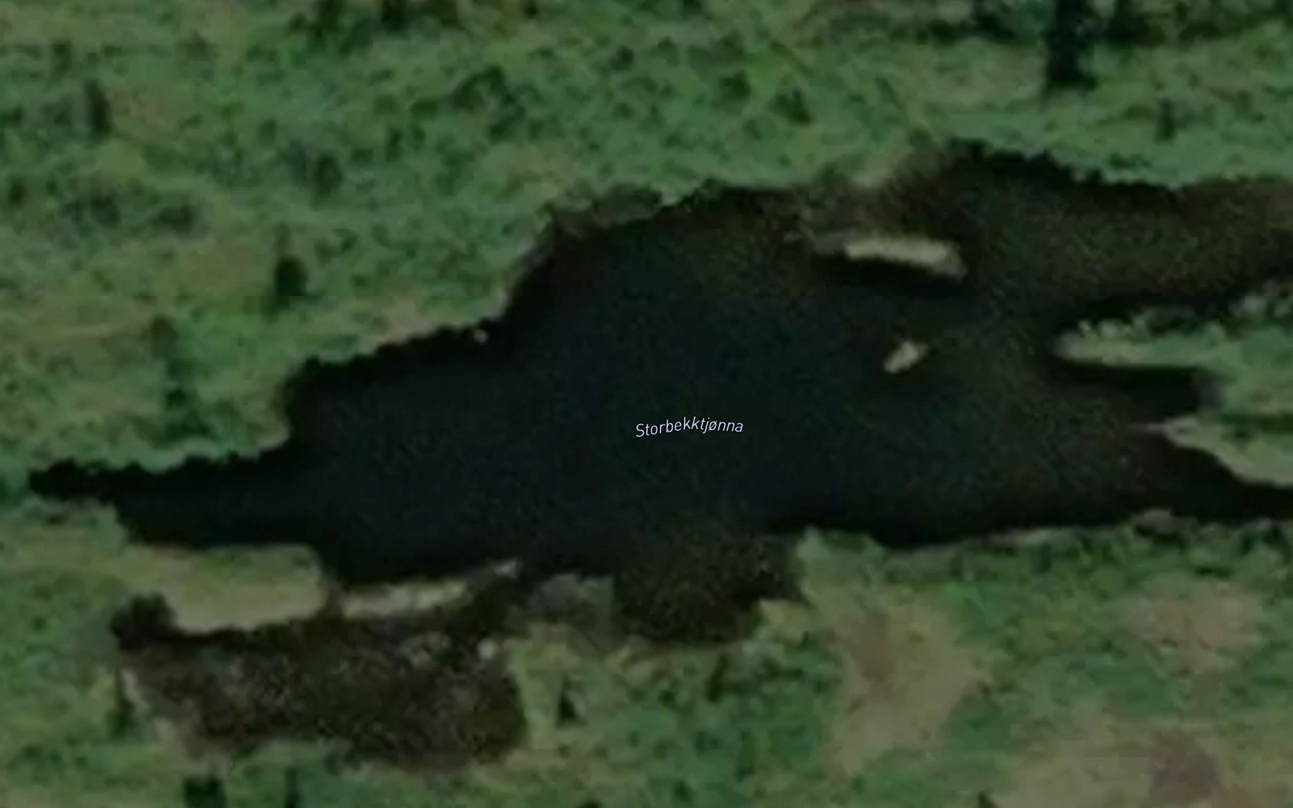 Storbekktjonna