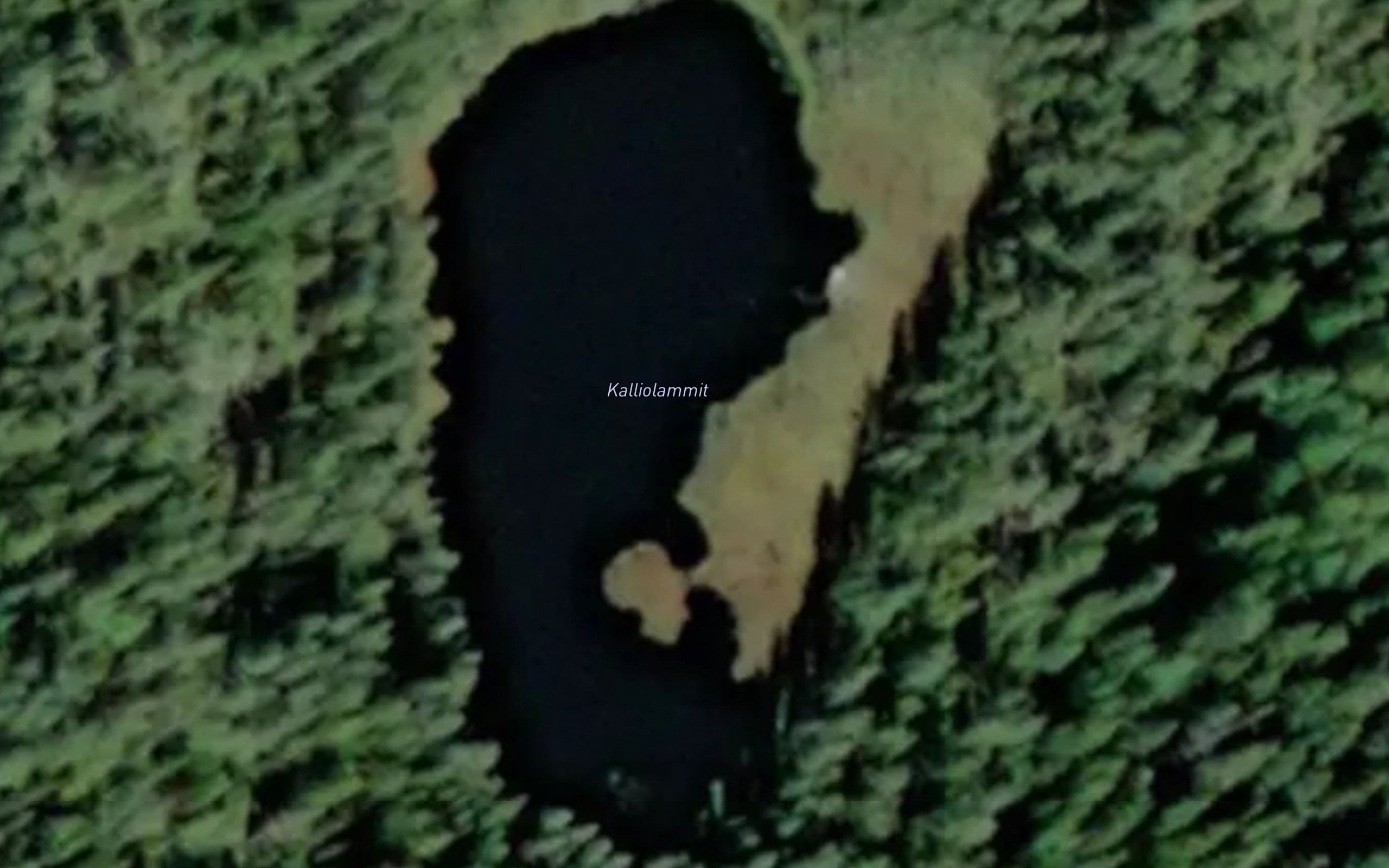 Kalliolammit