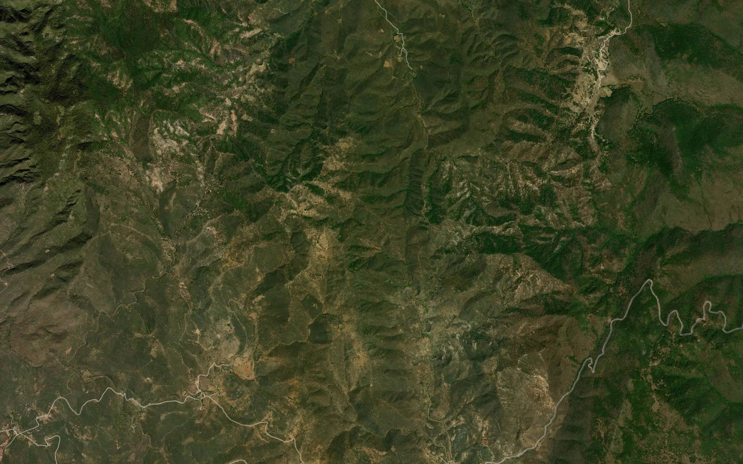 Barranca El Rincon Huisache