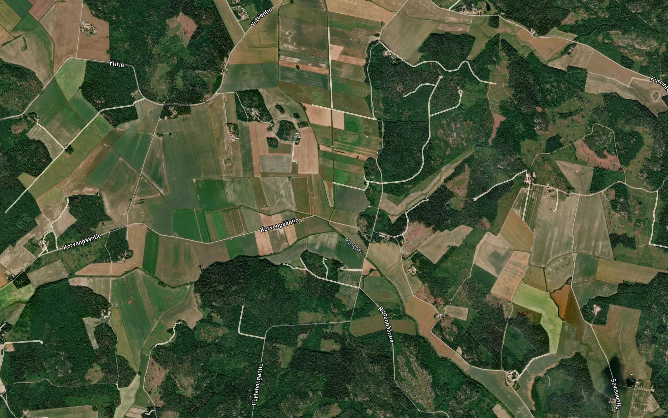 Martinoja