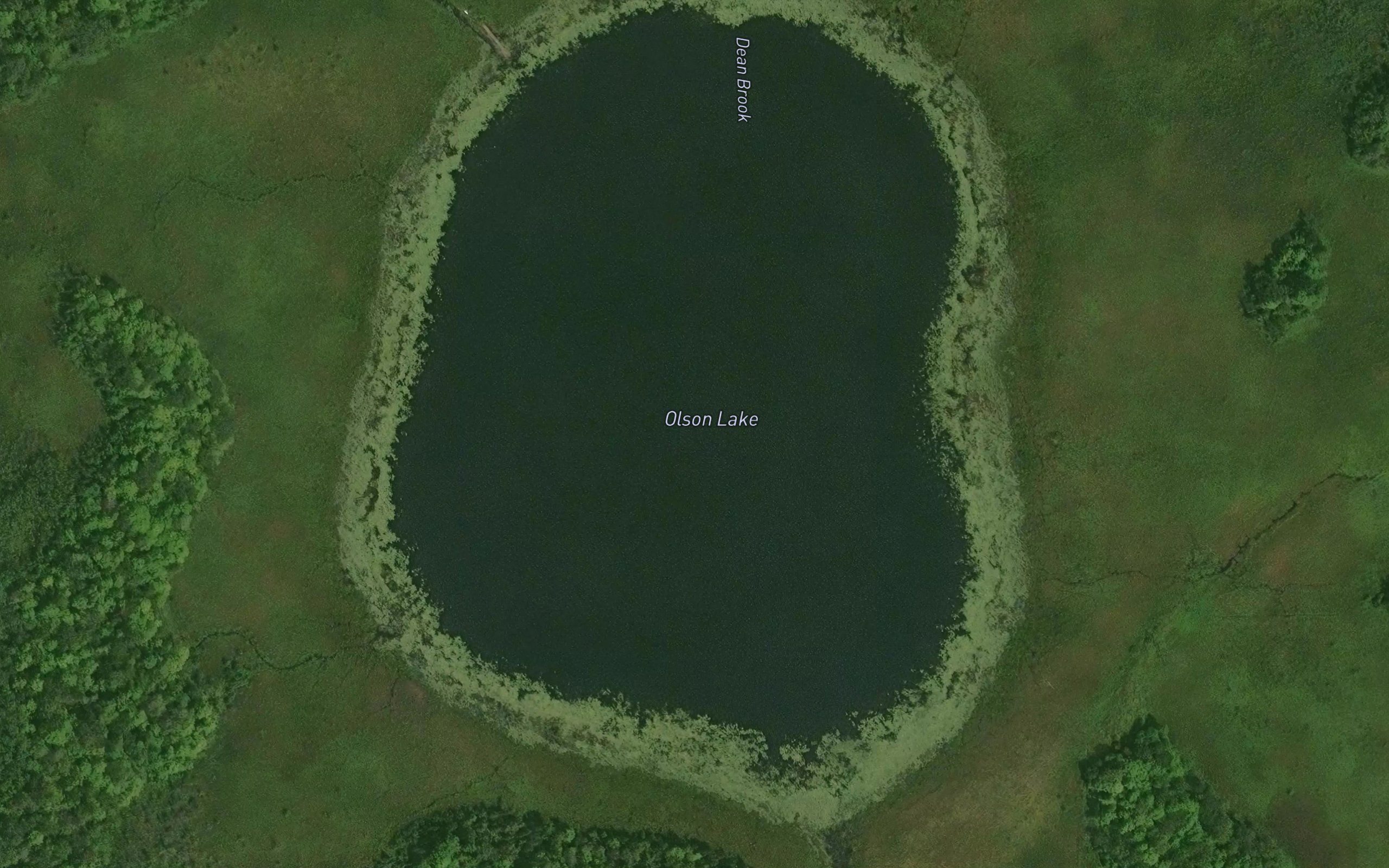 Olson Lake