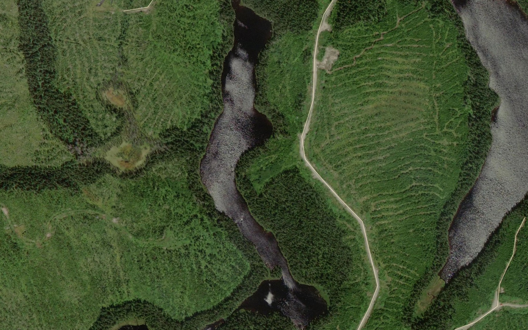 Satellite map of the Lac Arseneault