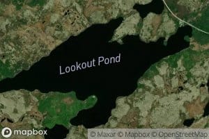 Lookout Pond