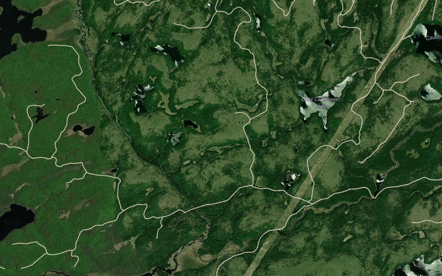 Satellite map of the Cauliflower Creek