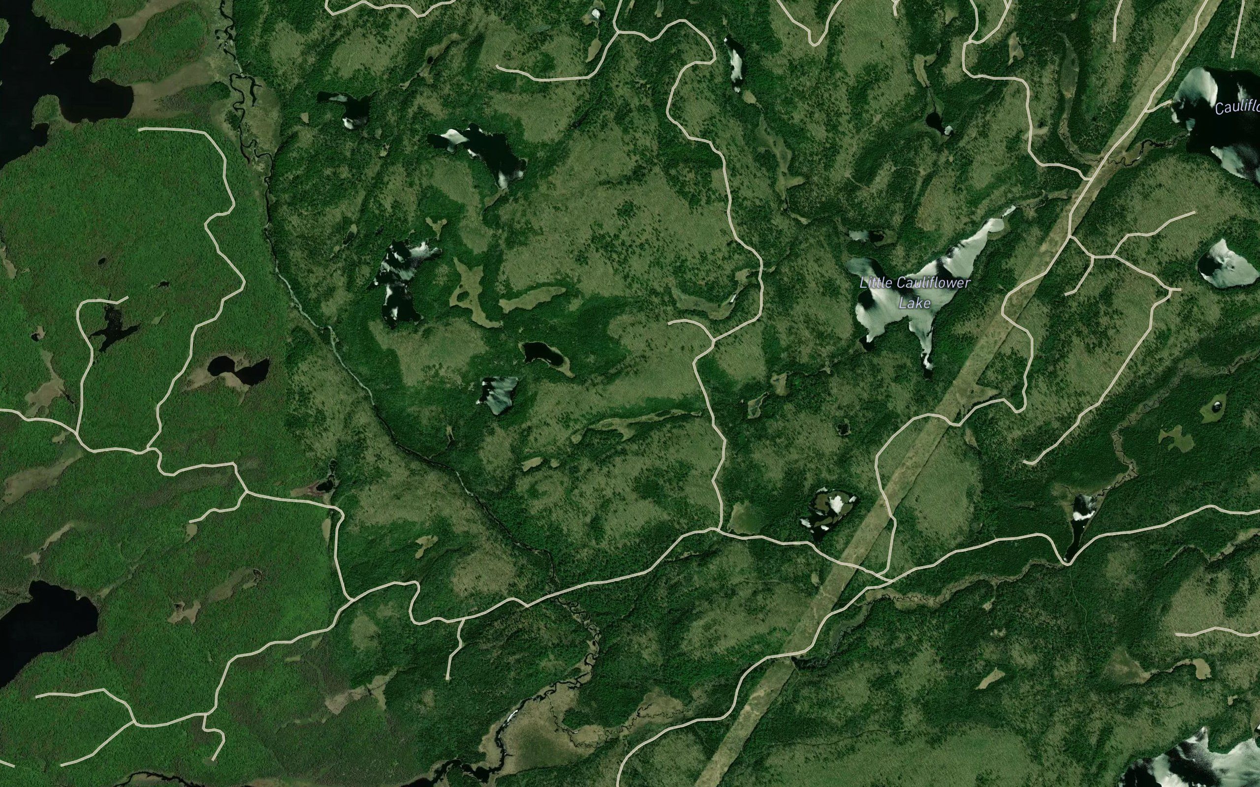 Cauliflower Creek