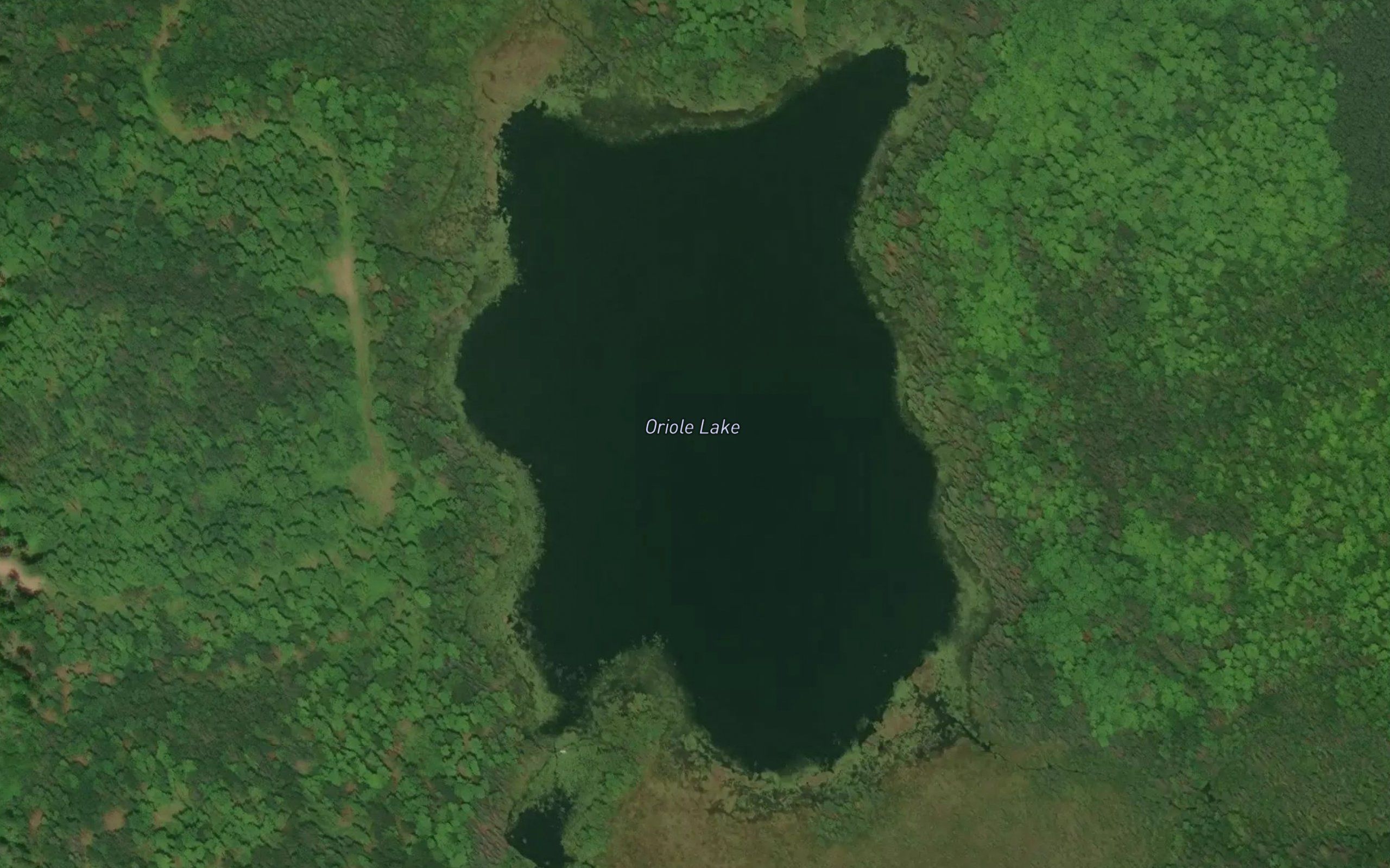 Oriole Lake