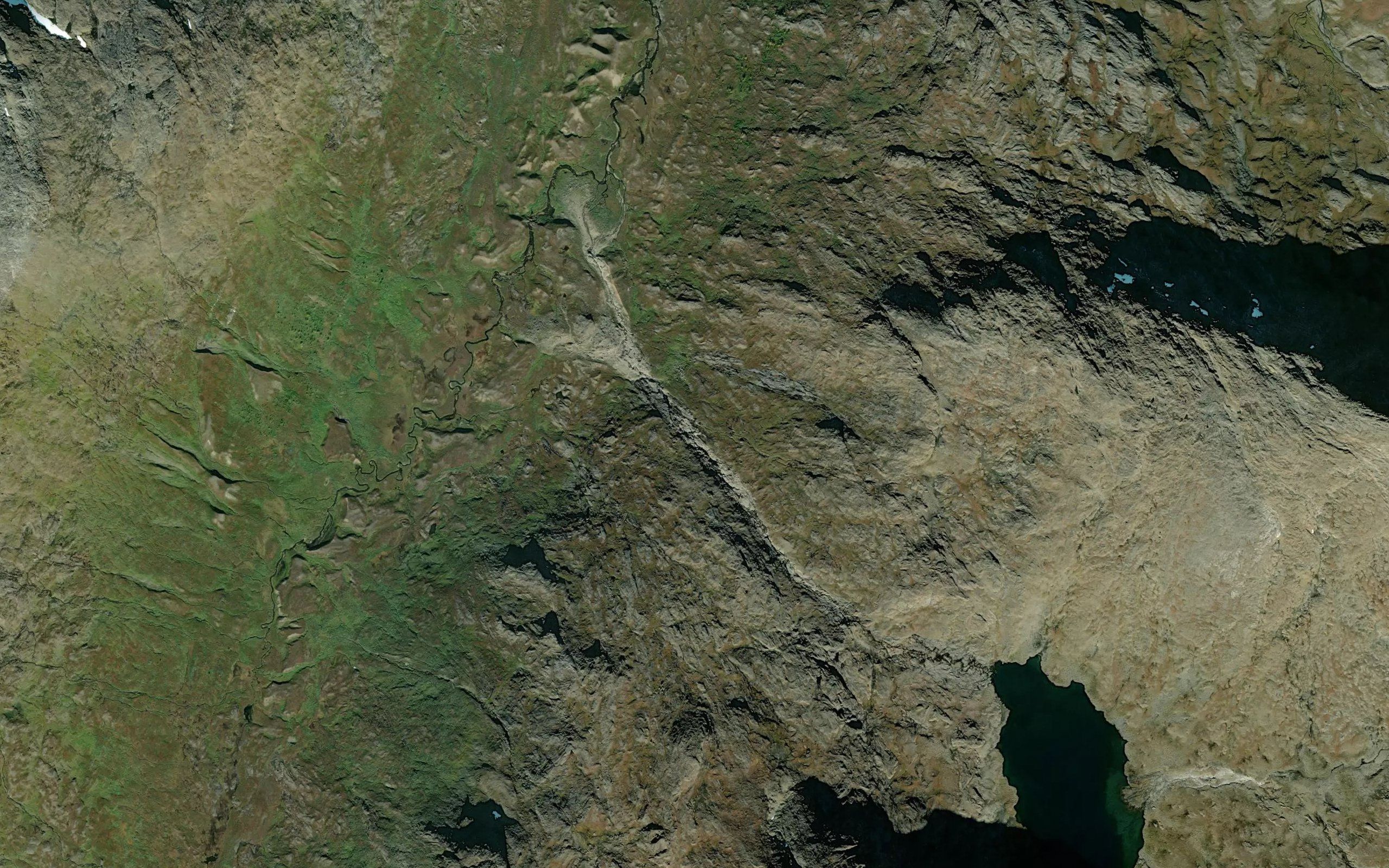 Plassakjakka