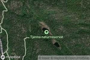 Tjonna