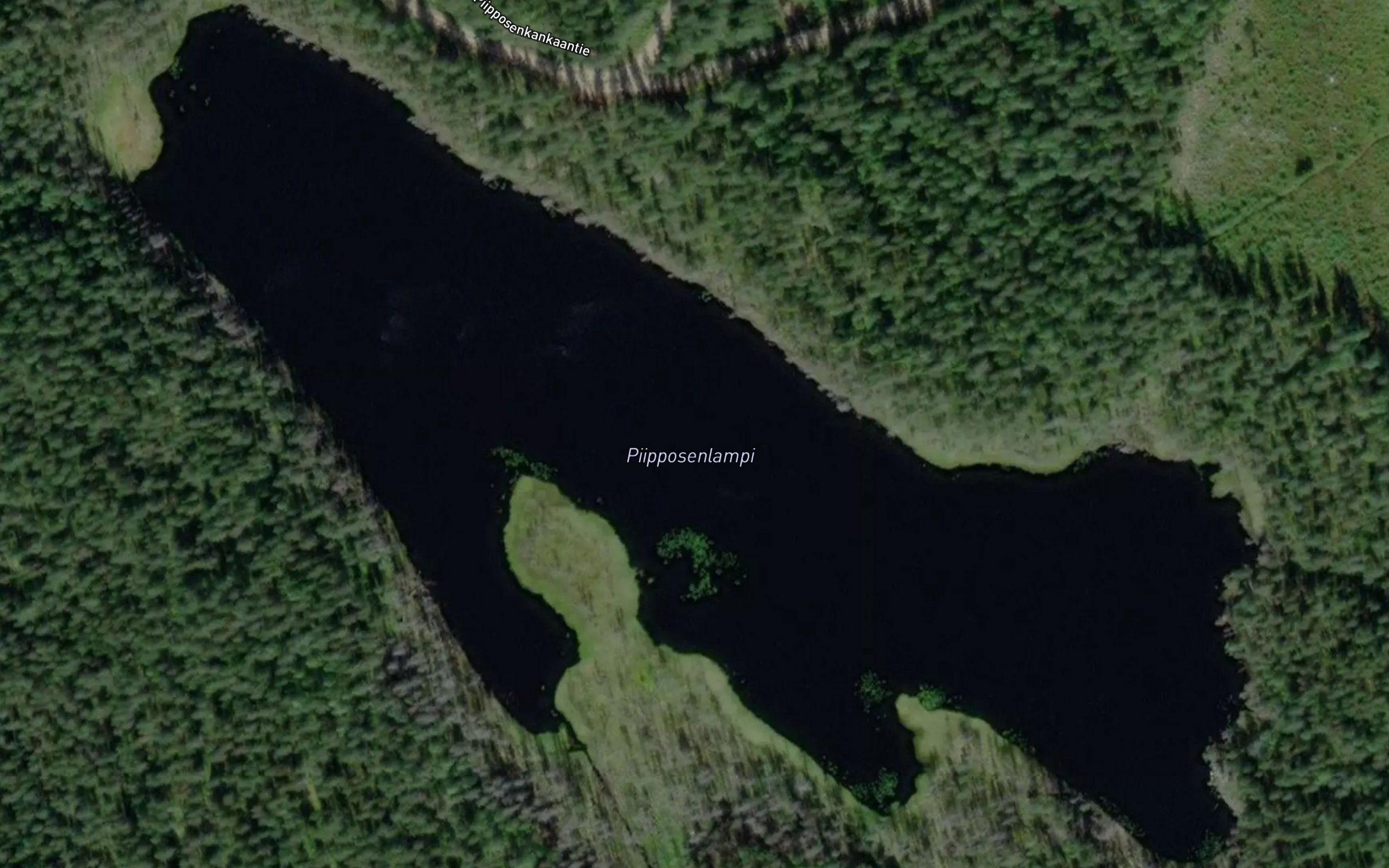 Piipposenlampi