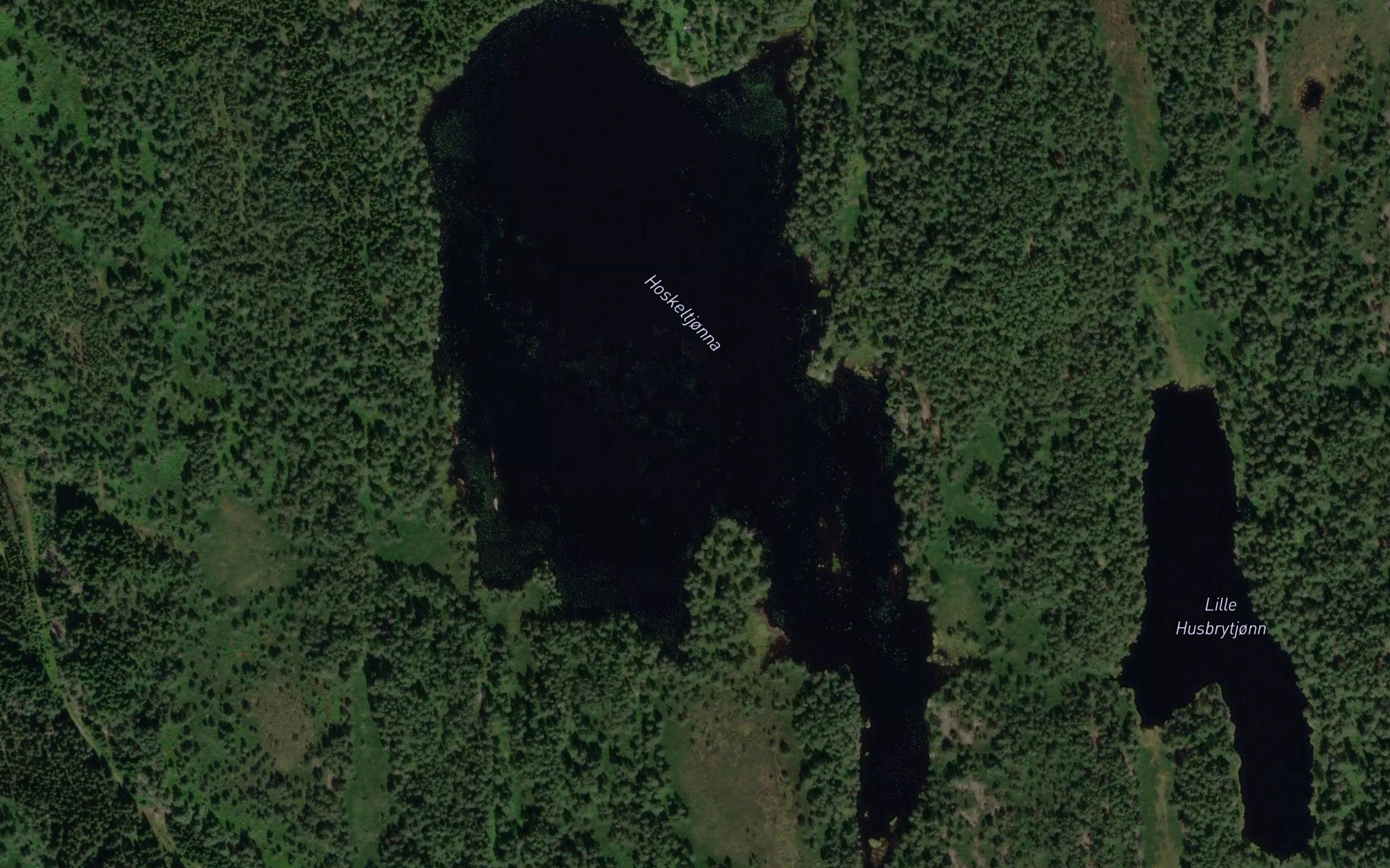 Hoskeltjonna