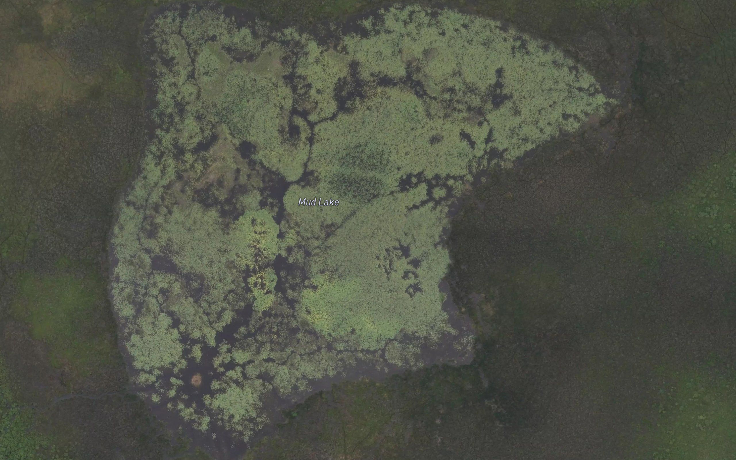 Mud Lake
