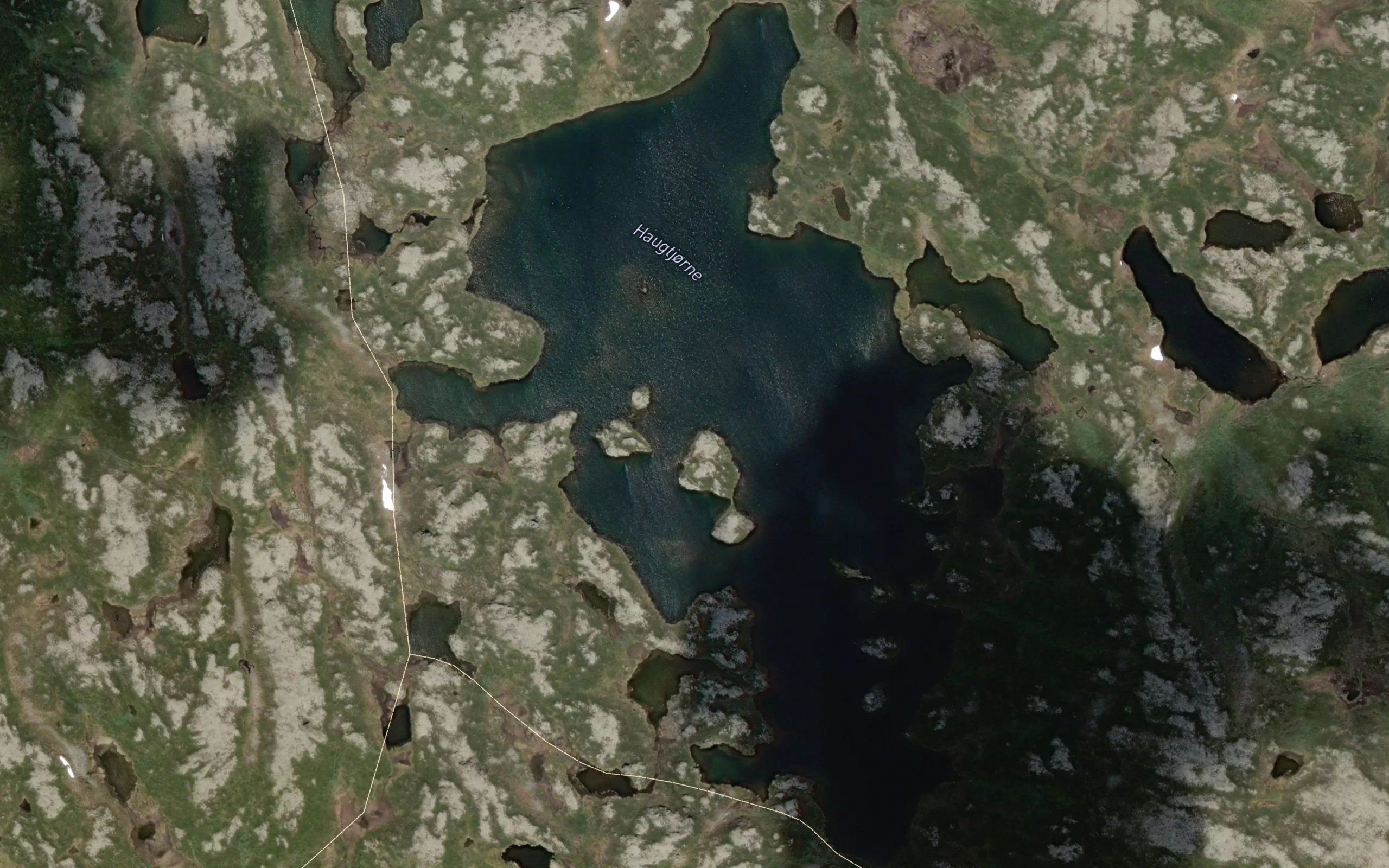 Haugtjodne