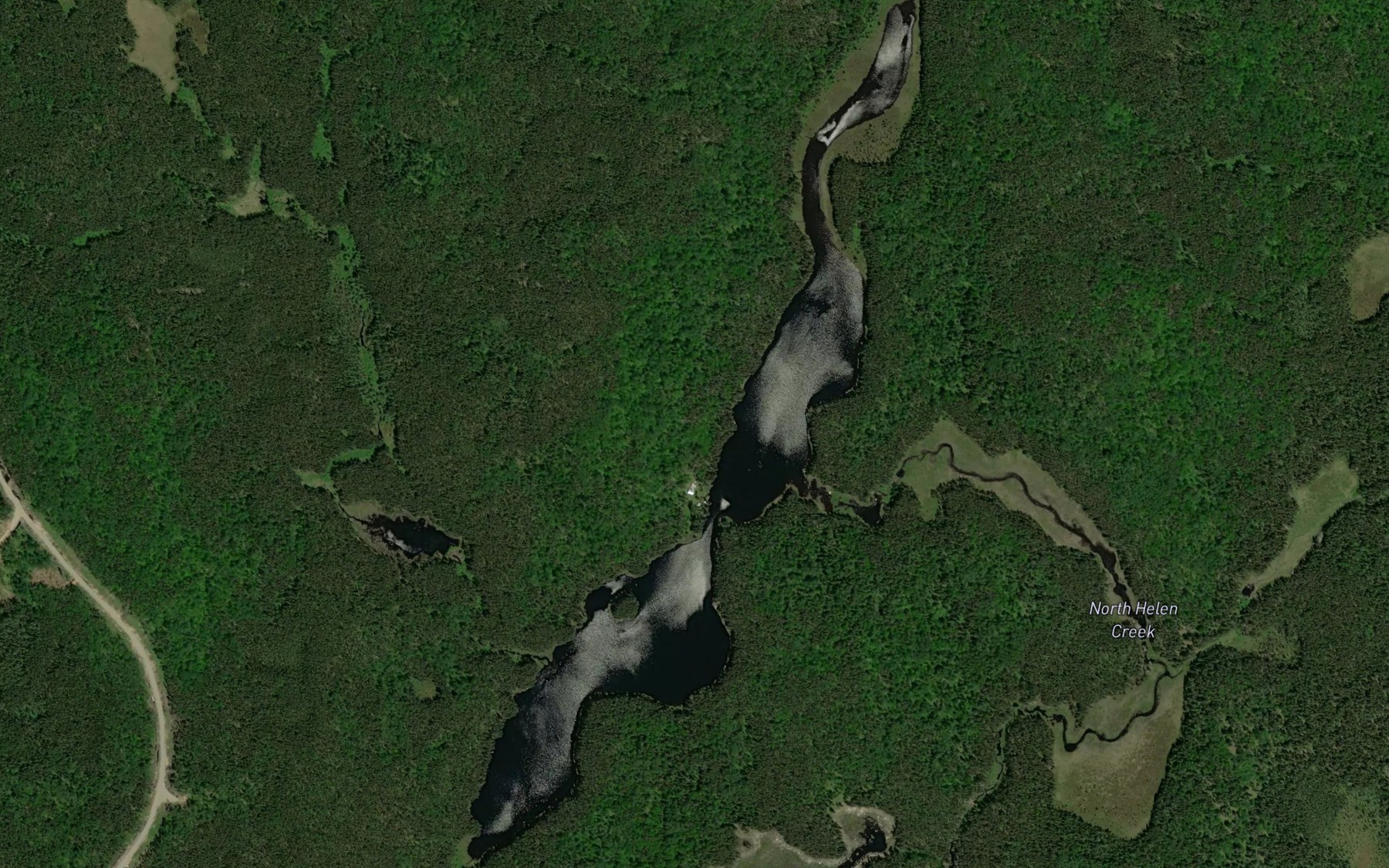 Satellite map of the North Helen Lake