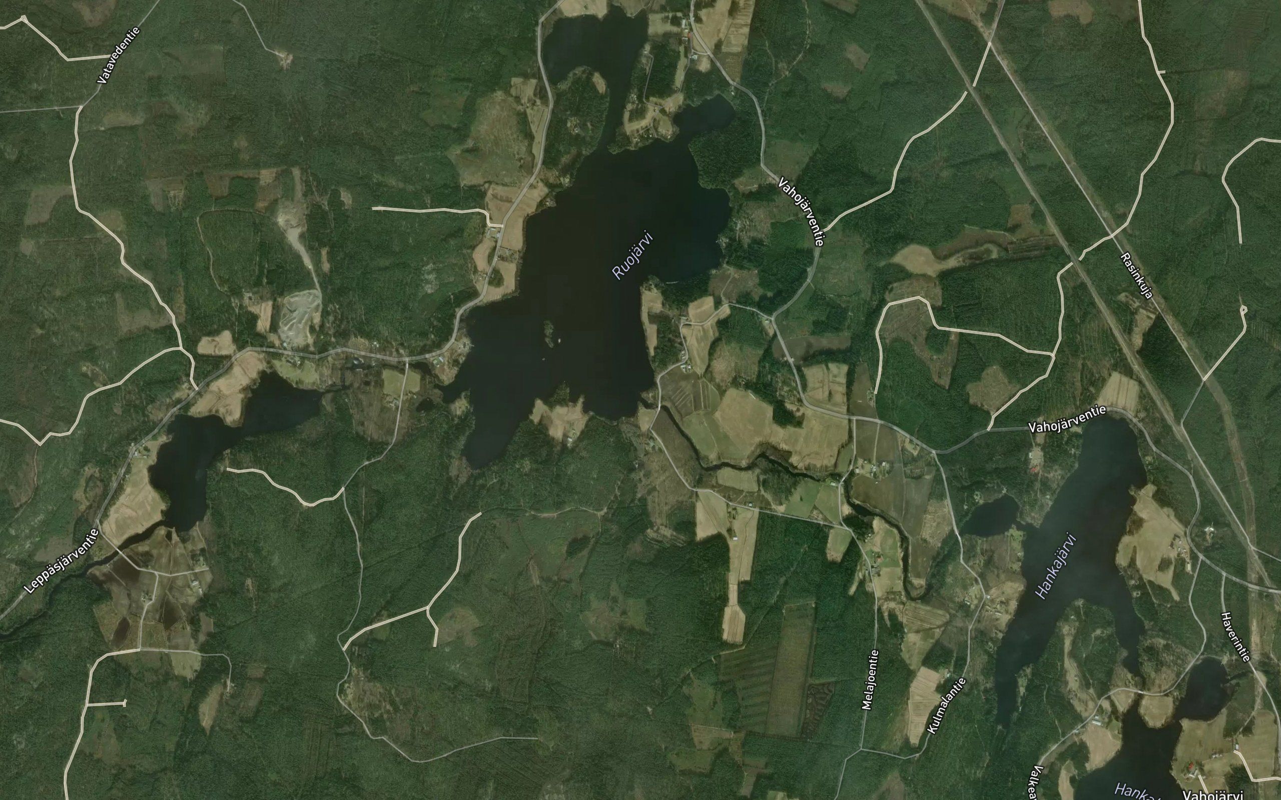 Melajoki