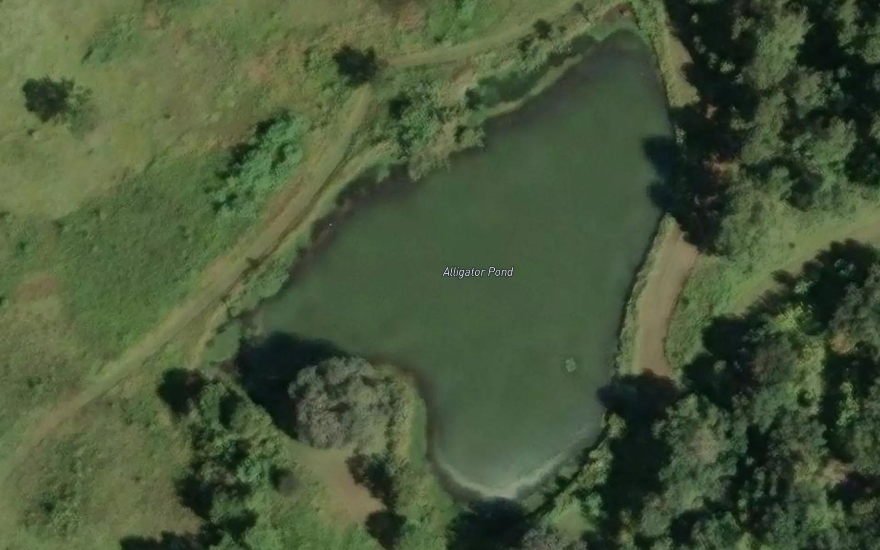 Satellite map of the Alligator Pond