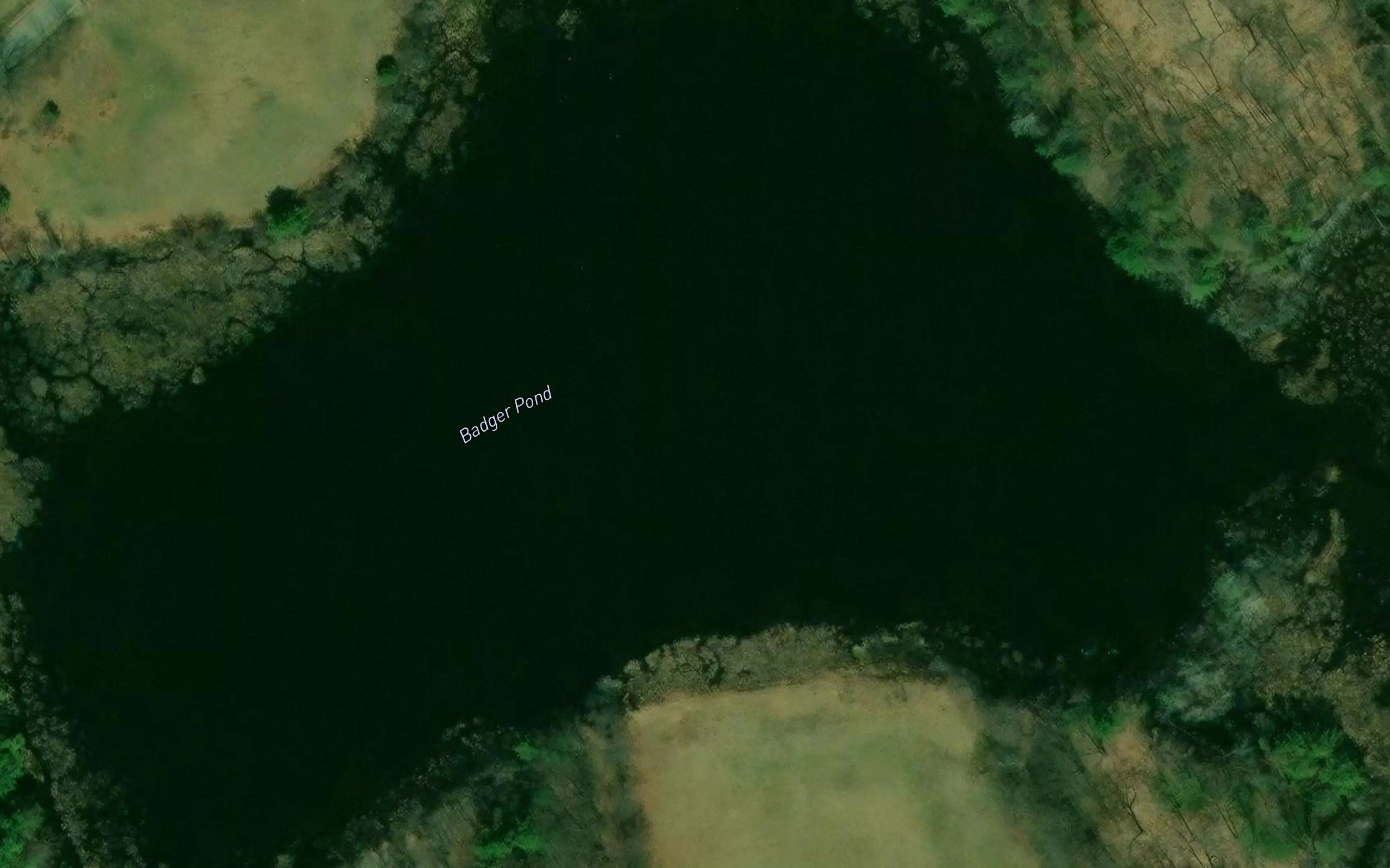 Badger Pond