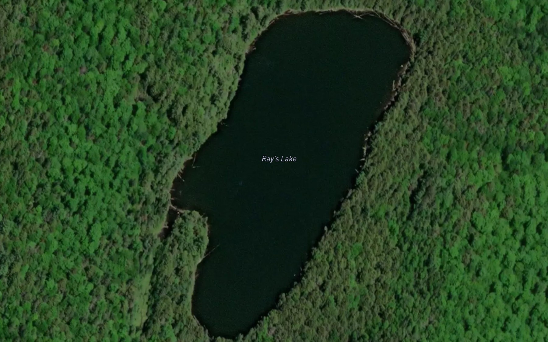 Satellite map of the Ray's Lake
