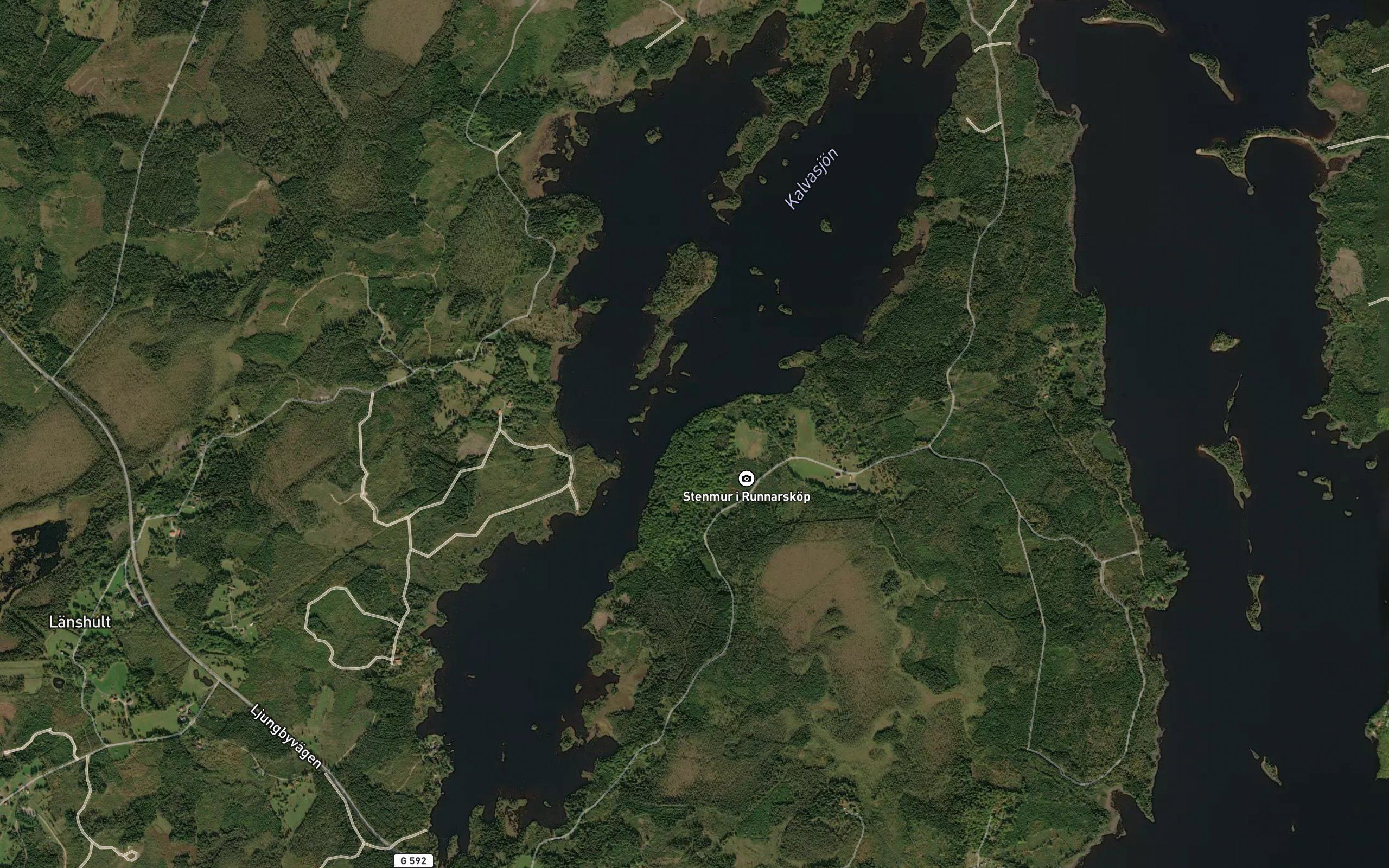 Kalvasjon