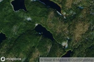 Lac Fox