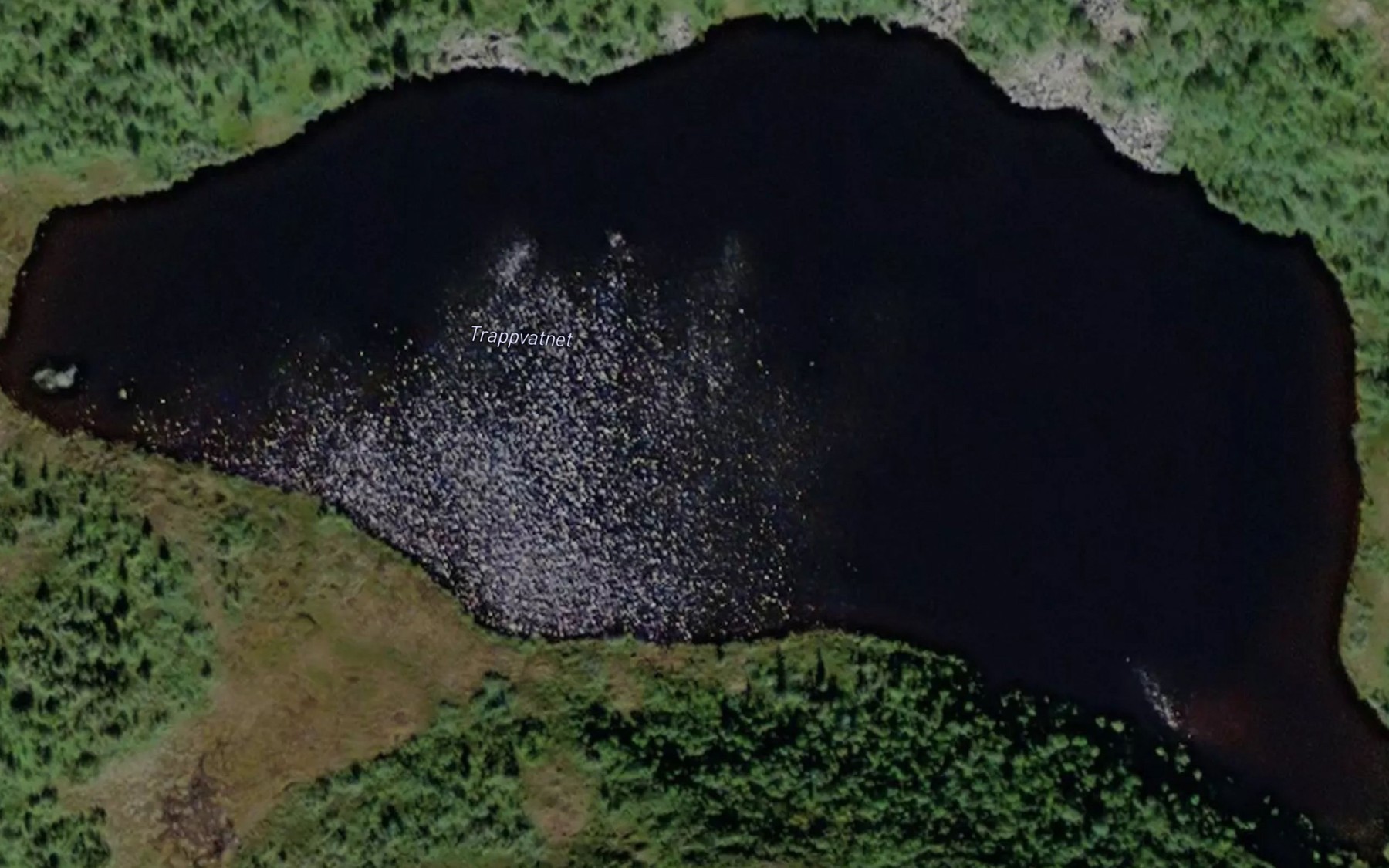 Satellite map of the Trappvatnet