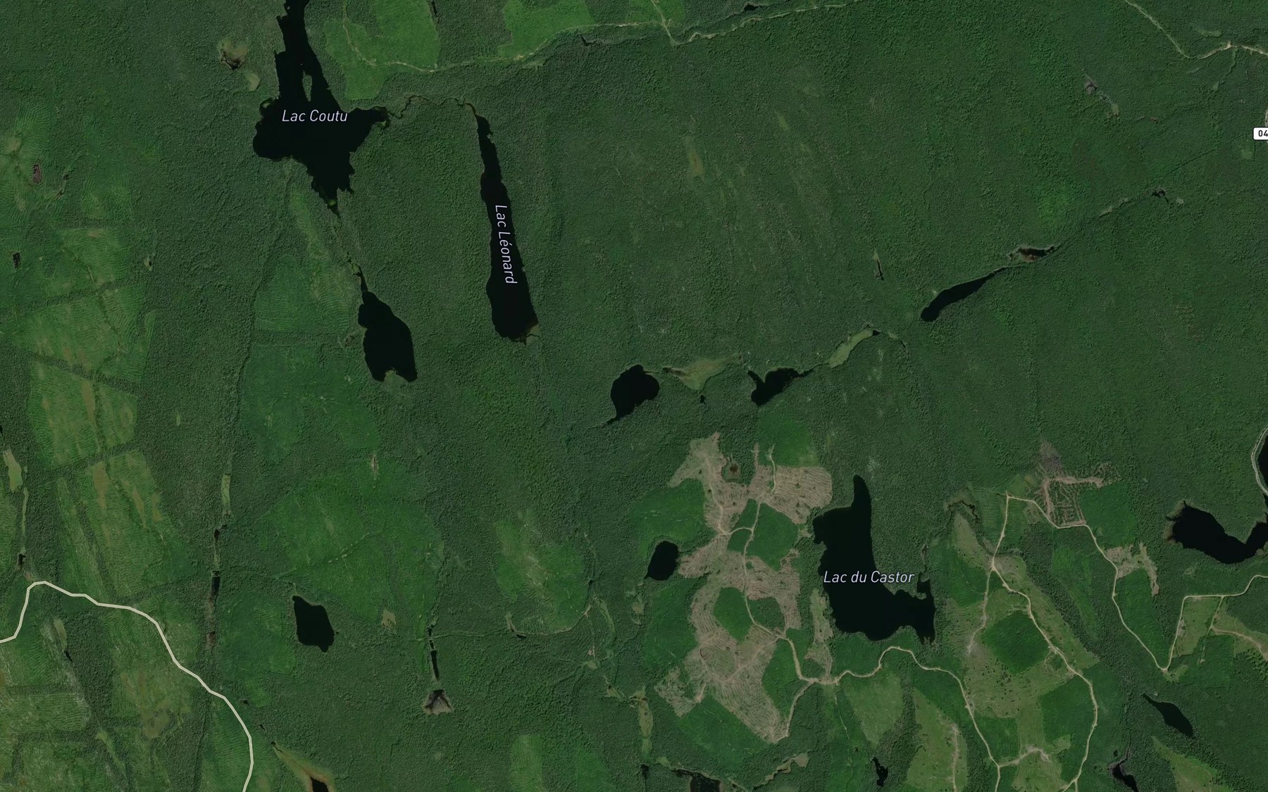 Satellite map of the Lac du Milieu