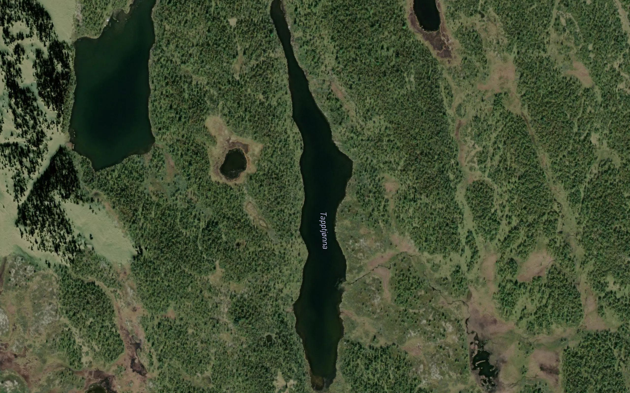 Dagstjorna,ovre