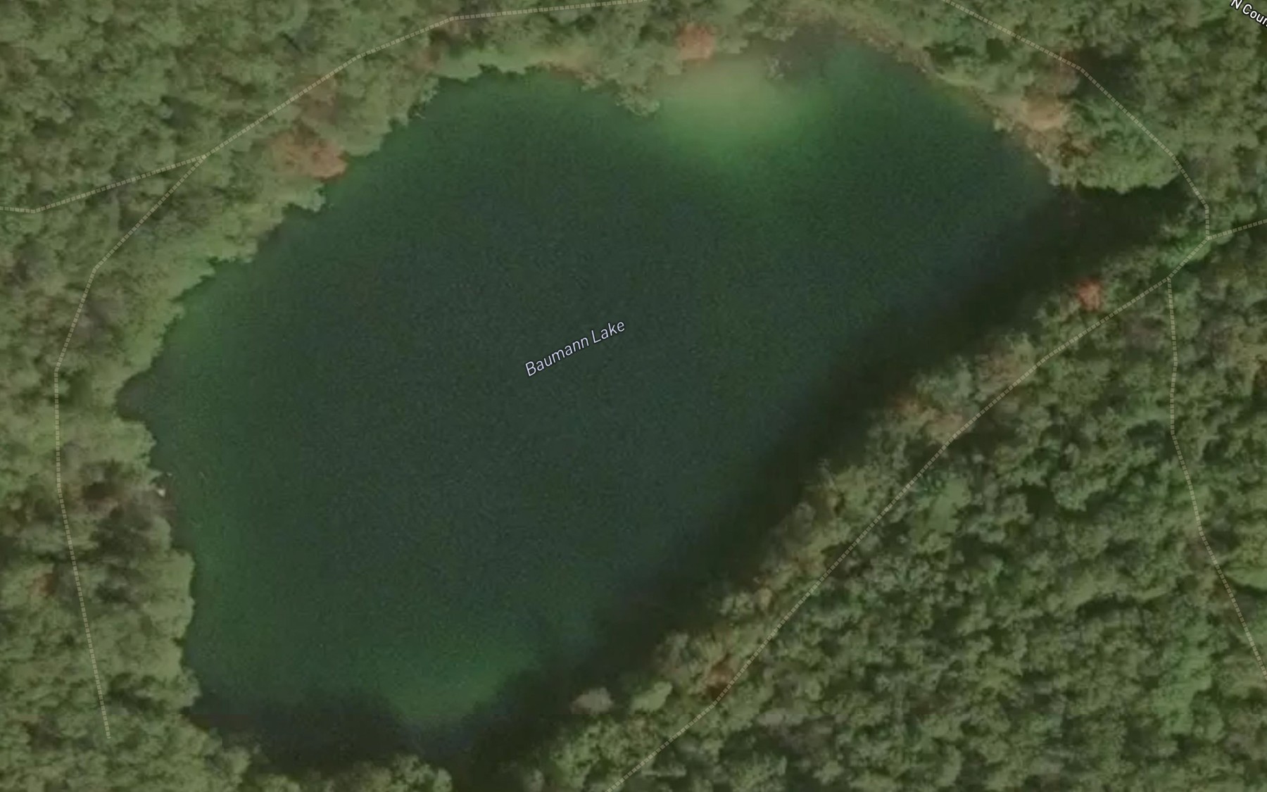 Satellite map of the Baumann Lake