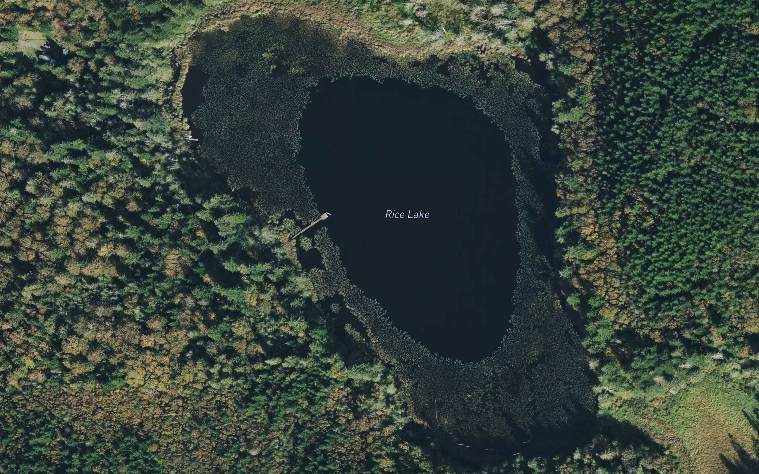 Rice Lake