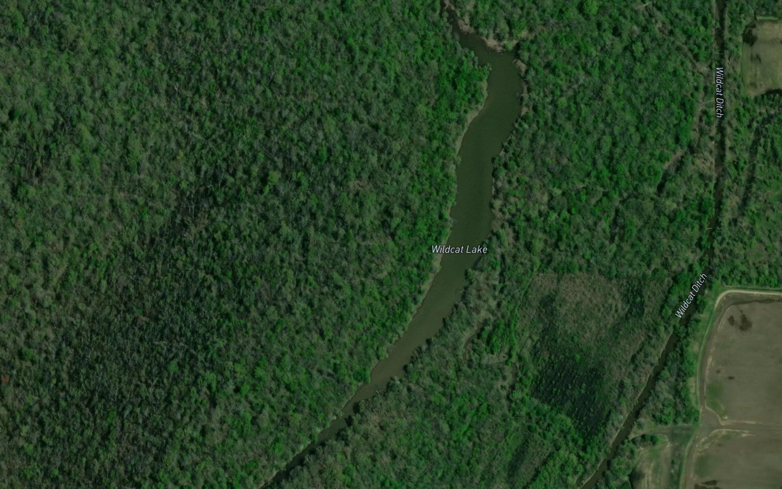 Wildcat Lake