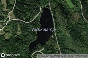 Verkkolampi