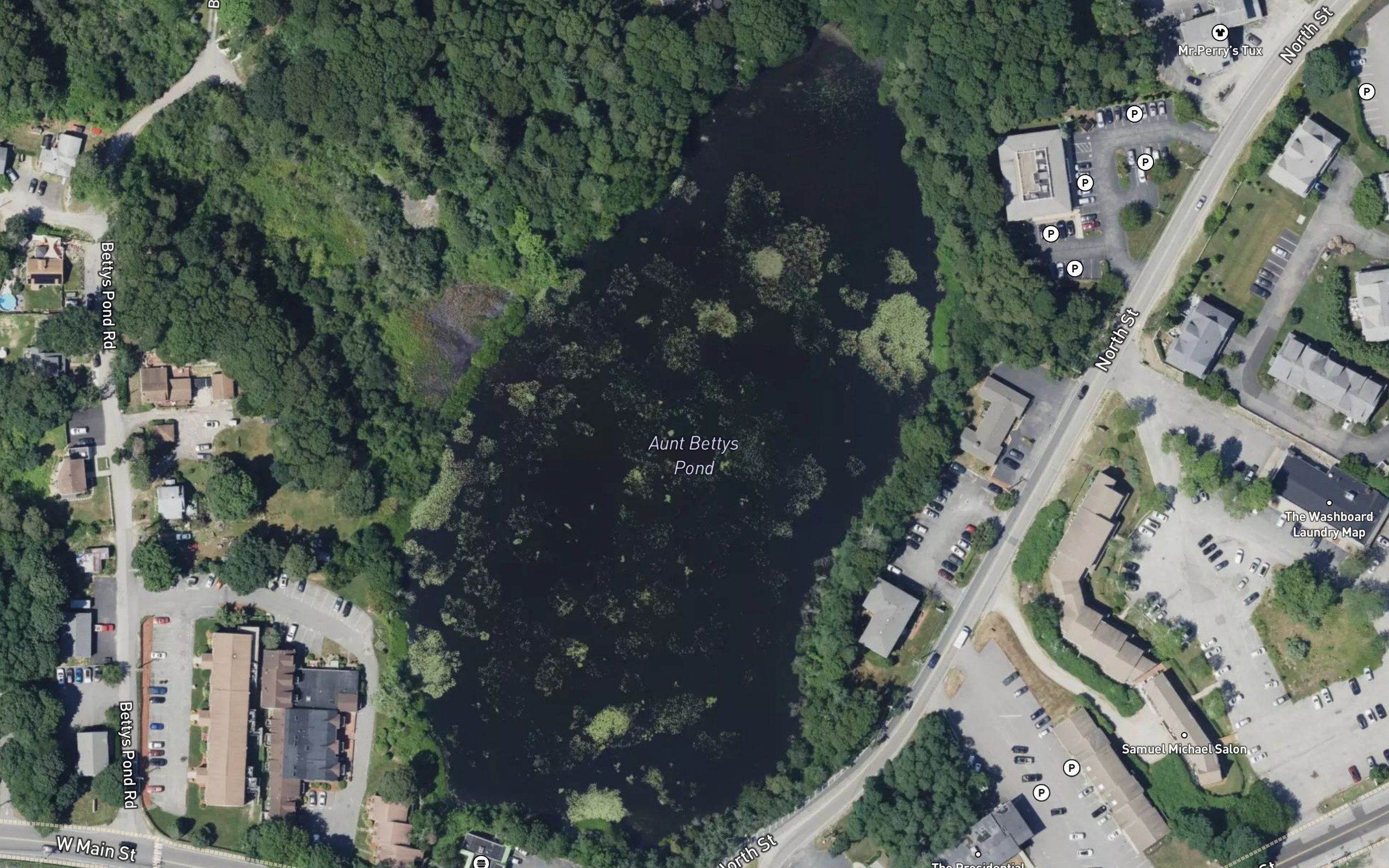 Aunt Bettys Pond