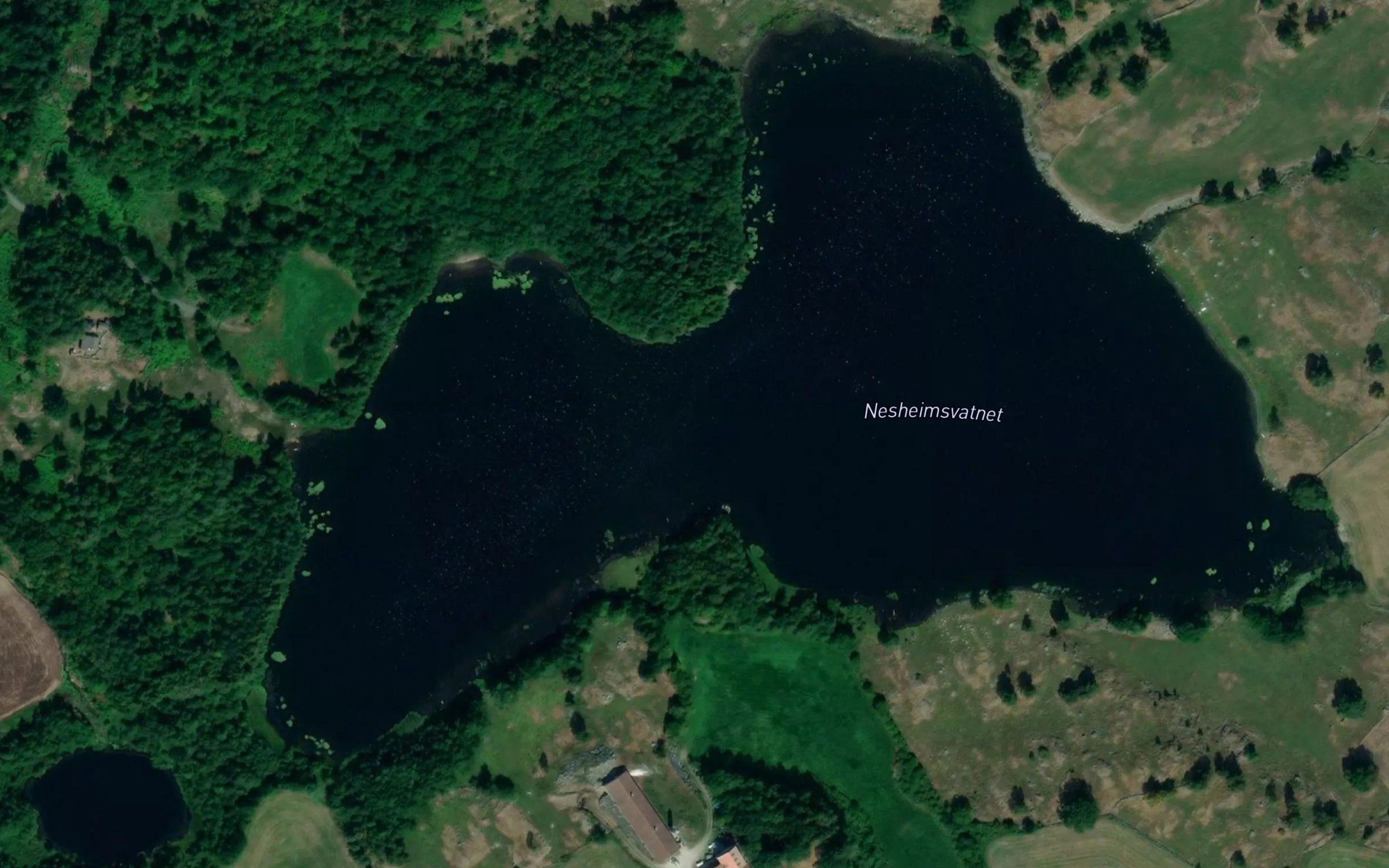 Neseimsvatnet