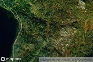 Blafjelldaltjonna