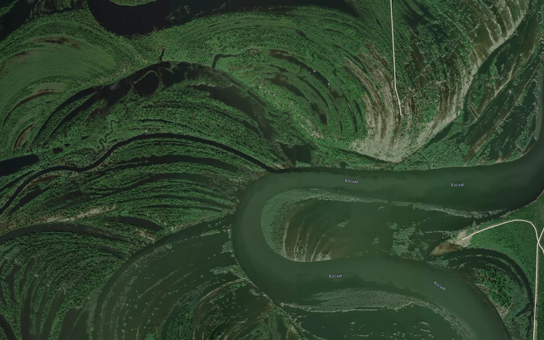 Satellite map of the Necha