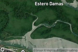 Estero La Chanchera